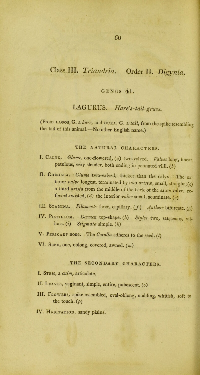 Class III. Triandria. Order II. Digynia. genus 41. LAGURUS. Hare's-tail-grass. (From lagos, G. a hare, and oura, G. a tail, from the spike resembling the tail of this animal.—No other English name.) THE NATURAL CHARACTERS. I. Calyx. Glume, one-flowered, (a) two-valved. Valves long, linear, patulous, very slender, both ending in pennated villi. (l) II. Corolla. Glume two-valved, thicker than the calyx. The ex- terior valve longest, terminated by two aristae, small, straight ;(c) a third arista from the middle of the back of the same valve, re- flexed-twisted, (d) the interior valve small, acuminate. (e) III. Stamina. Filaments three, capillary. (J) Anthers bifurcate, (g) Pistillum. Germen top-shape. (Ji) Styles two, setaceous, vil» lous. (i) Stigmata simple. (k) V. Pericarp none. The Corolla adheres to the seed. (/) VI. Seed, one, oblong, covered, awned. (to) THE SECONDARY CHARACTERS. I. Stem, a culm, articulate. II. Leaves, vaginant, simple, entire, pubescent, (o) III. Flowers, spike assembled, oval-oblong, nodding, whitish, soft to the touch. (p) IV. Habitation, sandy plains.