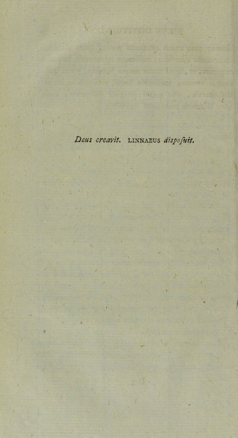 \ I Deus creavit, linnaeus dispofuit.