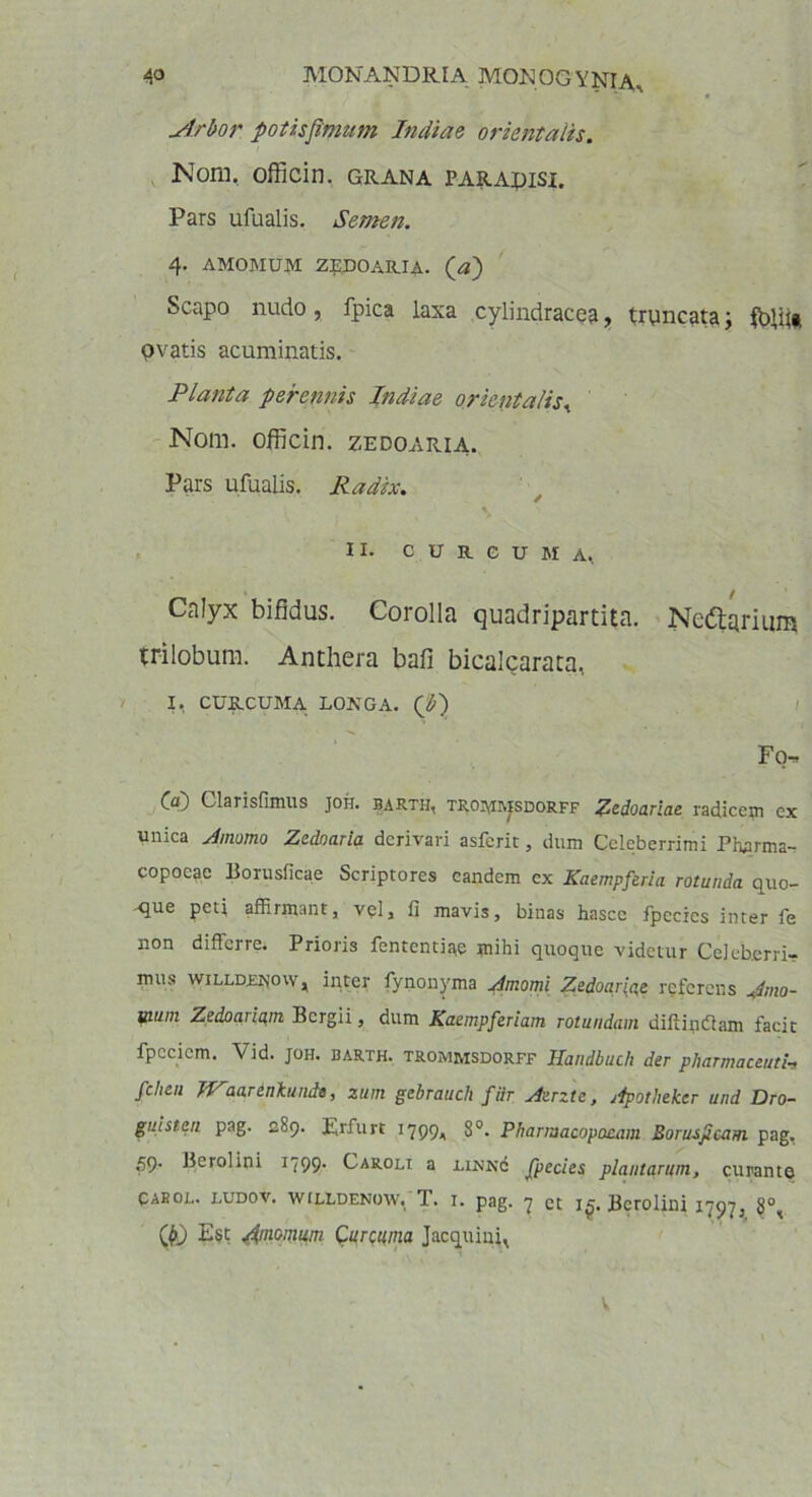 Arbor potisftmum Indiae orientalis. Nom, officin. grana paradisi. Pars ufualis. Semen. 4. AMOMUM ZfDOARIA. (<«) Scapo nudo, fpica laxa cylindrace?, truncata; fbffi* ovatis acuminatis. Planta perennis Indiae orientalis, Nom. officin. zedoaria. Pars ufualis. Radix. II. CURCUMA, Calyx bifidus. Corolla quadripartita. Nedtarium trilobum. Anthera bafi bicalcarata, I, CURCUMA LONGA. (b) FQr, (a) Clarisfimus ]ou. barth, troj,i^sdorff Zedoariae radicem cx unica Jmomo Zedoaria derivari asfcrit, dum Celeberrimi Phqrma- copocae Borusficae Scriptores eandem cx Kaempferia rotunda quo- que peti affirmant, vel, fi mavis, binas hascc fpccics inter fe non differre. Prioris fententiae mihi quoque videtur Celeberri- mus WILLDJ2H0W, inter fynonyma Jmomi Zedoarfce referens Ano- ttium Zedoaiiam Bcrgii, dum Kaempferiam rotundam diftindhim facie fpccicm. Vid. joh. barth. trommsdorff Handbucli der pharmaceuti-, fchen Wlarenkumh, zum gebrauch fiir Aerzle, j4potheker und Dro- guisten pag. 289. Erfurt 1799, 8°. Pbarmacopoeam Boruspcarn pag, 59. Berolini 1799. Caroli a llnkc fpecies plantarum, curante Caeol. ludov. willdenow, T. i. pag. 7 et i£. Berolini 1797, 8°, (&) Est dmomum Curcuma Jacquini, v