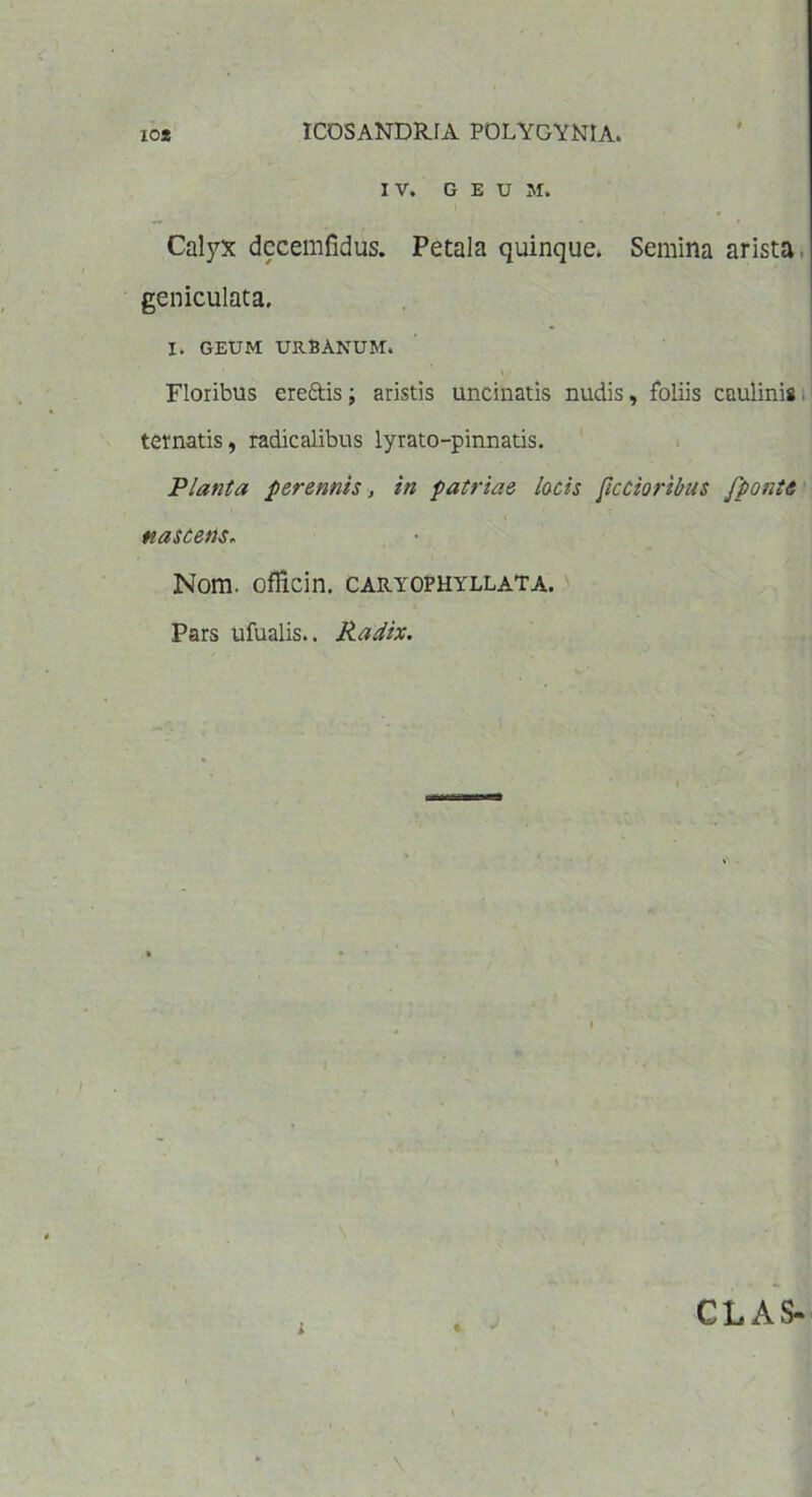 IV. GEUM. Calyx dccemfidus. Petala quinque. Semina arista geniculata. I. GEUM URSANUM. Floribus ereftis; aristis uncinatis nudis, foliis caulinis. tematis, radicalibus lyrato-pinnatis. Planta perennis, in patriae locis [iccioribus [ponte nascens„ Nom. oflicin. caryophyllata. Pars ufualis.. Radix.