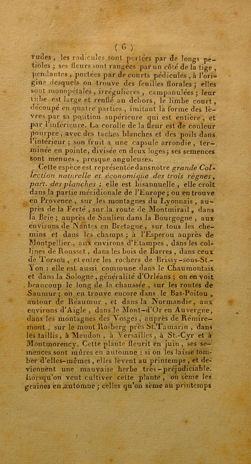 rudes, les radicules sont portées par de longs pé- tioles ; ses Heurs sont rangées par un côté de la lige , pendantes , portées par de courts pédicules , à l’ori- gine desquels on trouve des feuilles florales j elles sont monopétàlçs , irrégulières, campanulées $ leur tube est large et renfle au dehors, le limbe court, découpé en quatre parties , imitant la forme des lè- vres par sa position supérieure qui est entière , et par l’inférieure. La corolle de la fleur est de couleur pourpre, avec des taches blanches et des poils dans l’intérieur ; son fruit a une capsule arrondie , ter- minée en pointe, divisée en deux loges j ses semences sont menues , presque anguleuses. Celte espèce est représenléedansnotre grande Col- lection naturelle et économique des trois règnes, part, des planches ; elle est bisannuelle , elle croît dans la partie méridionale de l’Europe ; ou en trouve en Provence , sur les montagnes du Lyonnais , au- près de la Ferté , sur la route de Montmirail, dans la Brie ) auprès de Saulieu dans la Bourgogne , aux environs de Nantes en Bretagne, sur tous les che- mins et dans les champs ; à l’Esperou auprès de Montpellier , aux environs d’Etampes , dans les col- lines de Rousset, dans les bois de Barres , dans ceux deTorsoU, et entre les rochers de Brissy-sous-St.- Yon : elle est aussi commune dans le Chaumontais et dans la Sologne , généralité d’Orléans ) on en voit beaucoup le long de la chaussée , sur les routes de Sauraur; on en trouve encore dans le Bas-Poitou , autour de Piéaumur , et dans la Normandie, aux environs d’Aigle , dans le Mont-d’Or en Auvergne, dans les montagnes des Vosges, auprès de Rémire- mont , sur le mont Rosberg près St.Tamarin , dans les taillis, à Meudon , à Versailles, à St.-Cyr et à Montmorency. Cette plante fleurit en juin , ses se- mences sont mures en automne : si on les laisse tom- ber d’elles-mêmes , elles lèvent au printemps , et de- viennent une mauvaise herbe très-préjudiciable. Lorsqu’on veut cultiver celte plante , on sème les graines en,automne ; celles qu’on sème au printemps