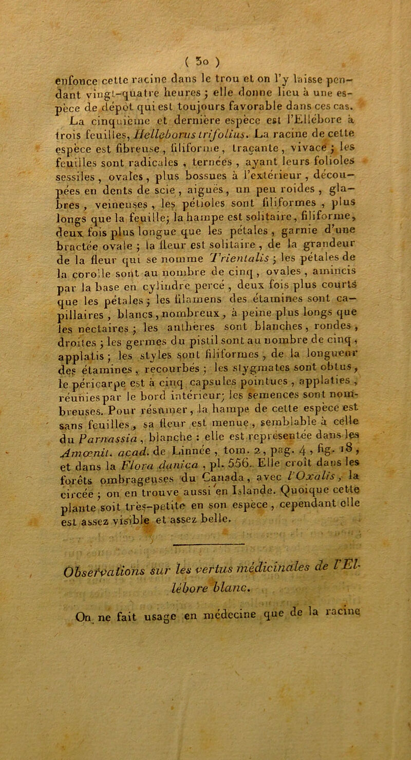 enfonce cette racine dans le trou et on l’y laisse pen- dant vingt-quatre heures ; elle donne lieu à une es- pèce de dépôt qui est toujours favorable dans ces cas. La cinquième et dernière espèce est l’Ellébore à trois feuilles, Helleborus trifolius. La racine de cette espèce est fibreuse, filiforme, traçante, vivacé ; les feuilles sont radicales , ternees , ayant leurs folioles sessiles, ovales, plus bossues à l’extérieur, décou- pées en dents de scie , aiguës, un peu roides , gla- bres , veineuses , les pétioles sont filiformes , plus longs que la feuille; la hampe est solitaire, filiforme, deux fois plus longue que les pétales, garnie d’une bractée ovale ; la fleur est solitaire , de la grandeur de la fleur qui se nomme 7’rient ali s ; les pétales de la corolle sont au nombre de cinq , ovales , amincis par la base en cylindre percé , deux fois plus courts que les pétales ; les filamens des étamines sont ca- pillaires , blancs , nombreux , à peine plus longs que les nectaires ; les anthères sont blanches, rondes , droites ; les germes du pistil sont au nombre de cinq , applatis ; les styles sont filiformes, de la longueur des étamines , recourbés ; les stygmates sont obtus, le péricarpe est à cinq capsules pointues , applaties , réunies par le bord intérieur; les semences sont nom- breuses. Pour resttmer, la hampe de cette espèce est sans feuilles, sa fleur est menue, semblable à celle du Parnassia , blanche : elle est représentée dans les Am omit. acad. de Linnée , torn. 2, pag. 4 •> ? et dans la Flora danica , pl, 556. Elle croît dans les forêts ombrageuses du Canada, avec l Oxalis, la circée ; on en trouve aussi en Islande. Quoique cette plante soit très-petite en son espèce , cependant elle est assez visible et assez belle. Observations sur les vertus médicinales de VEl- lébore blanc. On. ne fait usage en médecine que de la racine
