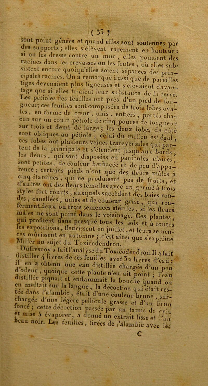 sont point gênées et quand elles sont soutenues par des supports; elles s’élèvent rarement en hauteur- si on les dresse contre un mur, elles poussent des racines dans les crevasses ou les fentes , où elles sub- sistent encore quoiqu’elles soient séparées des prin- cipales racines. On a remarqué aussi que de pareilles tiges devenaient plus ligneuses et s’élevaient davan- tage que si elles tiraient leur substance de la terre Les pétioles des feuilles ont près d’un pied de lon- gueur; ces feuilles sont composées de trois lobes ovi les . en forme de cœur , unis , entiers , portes ch'a- cun sur un court pétiole de cinq pouces de longueur sur trois et demi de large; les deux lobes de côté sont obliques au pétiole , celui du milieu est égal ces lobes ont plusieurs veines transversales qui par- tent de la principale et s’étendent jusqu’aux bords ; les ileurs , qui sont disposées en panicules claires sont petites, de couleur herbacée et de peu d'apna- rence; certains pieds n’ont que des fleurs mâles à cinq elamines , qui ne produisent pas de fruits, et t autres ont des fleurs femelles avec un germe à trois styles fort courts ^auxquels succèdent dés baies ron- es , canellees, unies et de couleur grise, qui ren- lermentdeux ou trois semences stériles , si les fleurs males ne sont point dans le voisinage. Ces plantes qui profilent dans presque tous les sols et à toutes les expositions , fleurissent en juillet, et leurs semen- ces ni m issent en automne ; c’est ainsi que s’exprime Miller au sujet du U oxicodendron. ^ dVIeur , quoique ^t^pl^^ai^i^flîâù distillée piquait et enflammait la bouche quand ou en mettait sur a langue , la décoction qui était res- tée dans 1 alambic , était d’üne couleur brune , sur- chargée d une legere pellicule grasse et d’un brun fonce; cette décoction passée par un tamis de crin V m‘Se a eïaP°rcr, a un extrait lisse et d’un »eau noir. Les feuilles, tirées de /alambic avec lés