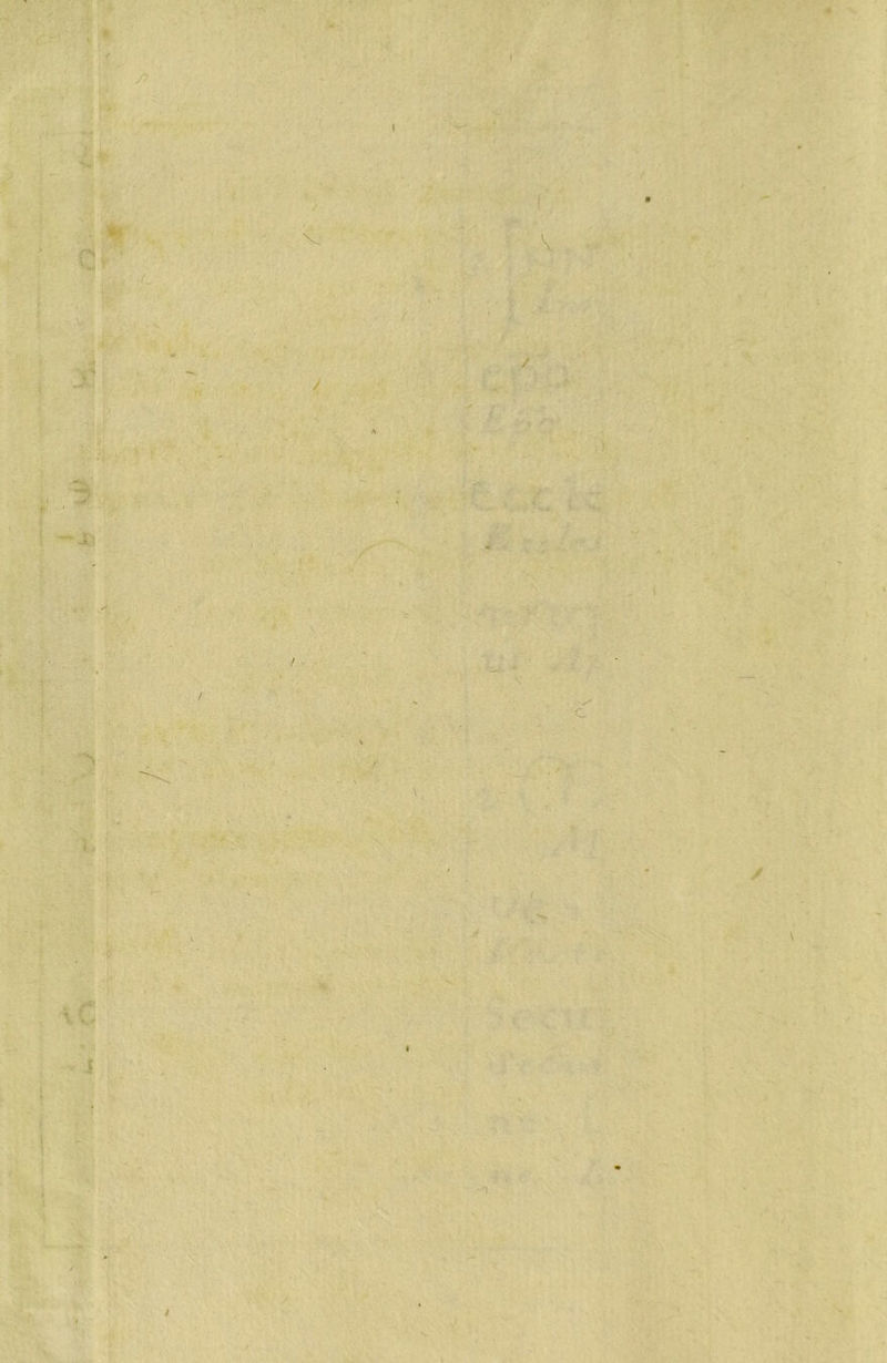 ■V. r¿i- I •'i 'P-. ( 1 i -JC5 ( A ■■ í , i j' ■*í% ■ »> - ■t ‘ ■ ■ t m-i 'i- \(í 1 i s -i^ / . ' /, 1Í. 'I V ' . t i / /