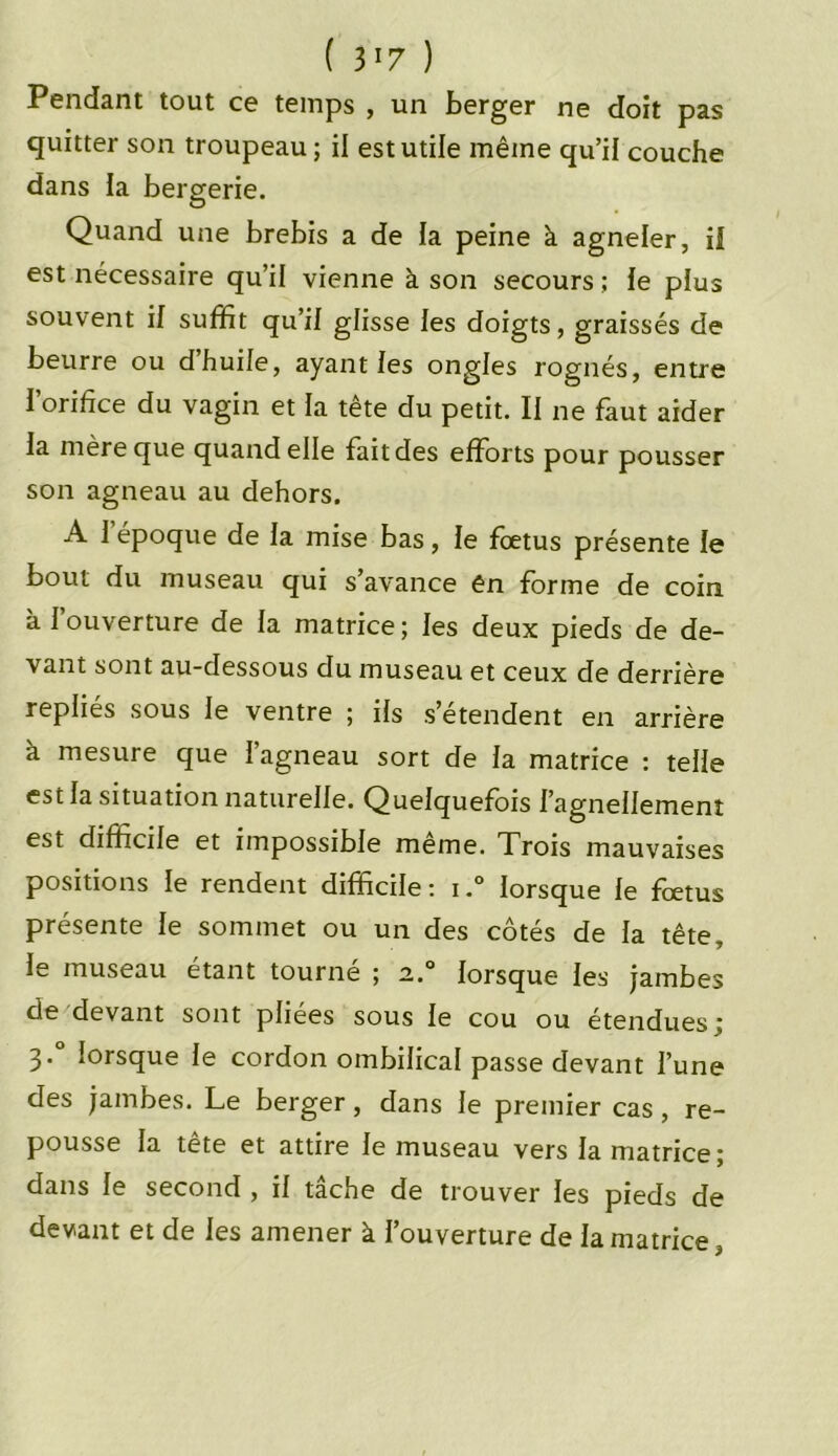 Pendant tout ce temps , un berger ne doit pas quitter son troupeau; il est utile même qu’il couche dans la bergerie. Quand une brebis a de la peine à agneler, il est nécessaire qu’il vienne à son secours ; le plus souvent il suffit qu’il glisse les doigts, graissés de beurre ou d’huile, ayant les ongles rognés, entre l’orifice du vagin et la tête du petit. II ne faut aider la mère que quand elle fait des efforts pour pousser son agneau au dehors. A I époque de la mise bas, le foetus présente le bout du museau qui s’avance ên forme de coin à l’ouverture de la matrice; les deux pieds de de- vant sont au-dessous du museau et ceux de derrière repliés sous le ventre ; ils s’étendent en arrière à mesure que l’agneau sort de la matrice : telle est la situation naturelle. Quelquefois l’agnellement est difficile et impossible même. Trois mauvaises positions le rendent difficile: i.° lorsque le fœtus présente le sommet ou un des côtés de la tête, le museau étant tourné ; a.° lorsque les jambes de devant sont pliées sous le cou ou étendues ; 3-° lorsque le cordon ombilical passe devant l’une des jambes. Le berger, dans le premier cas, re- pousse la tête et attire le museau vers la matrice; dans le second , il tâche de trouver les pieds de devant et de les amener à l’ouverture de la matrice,