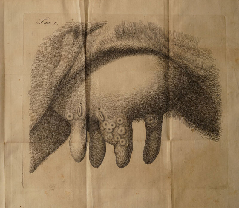 MEZZI Tl2] +28 KE DÒ RGS aaà Ò IRR INI SÒ == = RSI TOR N Te PREEI sirio <A