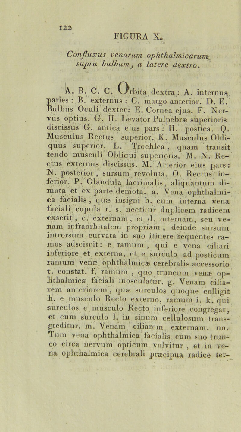 Confluxus venarum ophthalmicarwrb supra buLbum^ a latere dextro. A, B. C. C. wrbita dextra : A, internus. paries : B. externus ; C. margo anterior. D. E. Bulbus Oculi dexter: E. Cornea ejus. F. Ner- vus optius. G. H. Levatoi’ Palpebrae superioris discissus G. antica ejus pars : H. postica. Q. Musculus Rectus superior. K. Musculus Obli- quus superior. L. Trocblea , quam transit tendo musculi Obliqui superioris. M. N. Re- ctus externus discissus. M. Arterior eius pars: N. posterior , sursum revoluta. O. Rectus in- ferior. P. Gianduia lacrimalis, aliquantum di- mota et ex parte demota. a. Vena ophthalmi- ca facialis , qua insigni b. cum interna vena faciali copula r. s. nectitur duplicem radicem cxserit , c. externam, et d. internam, seu ve- nam infraorbitalem projjriam ; deinde sursum introrsum curvata in suo itinere ^equentes ra-' mos adsciscit: e ramimi, qui e vena ciliari inferiore et externa, et e surculo ad posticum lamum venae òpbtlialmic» cerebralis accessorio t. constat. f. ramum , quo truncum venae op- btlialmicae faciali inosculatur. g. Venam cilia- rem anteriorem , quae surculos quoque collisit II. e musculo Recto externo, ramum i, k. q\ù surculos e musculo Recto inferiore congregat, et cum surculo 1. in sinum cellulosum trans- greditur. m. Venam ciliarem externam. nn. Tum vena opbtbalmica facialis cum suo trun- co circa nervum opticum volvitur , et in ve- na oplitJialmica cerebrali praecipua radice ter—