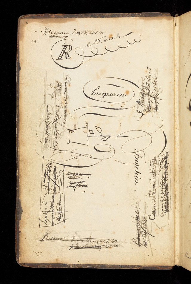 No text description is available for this image