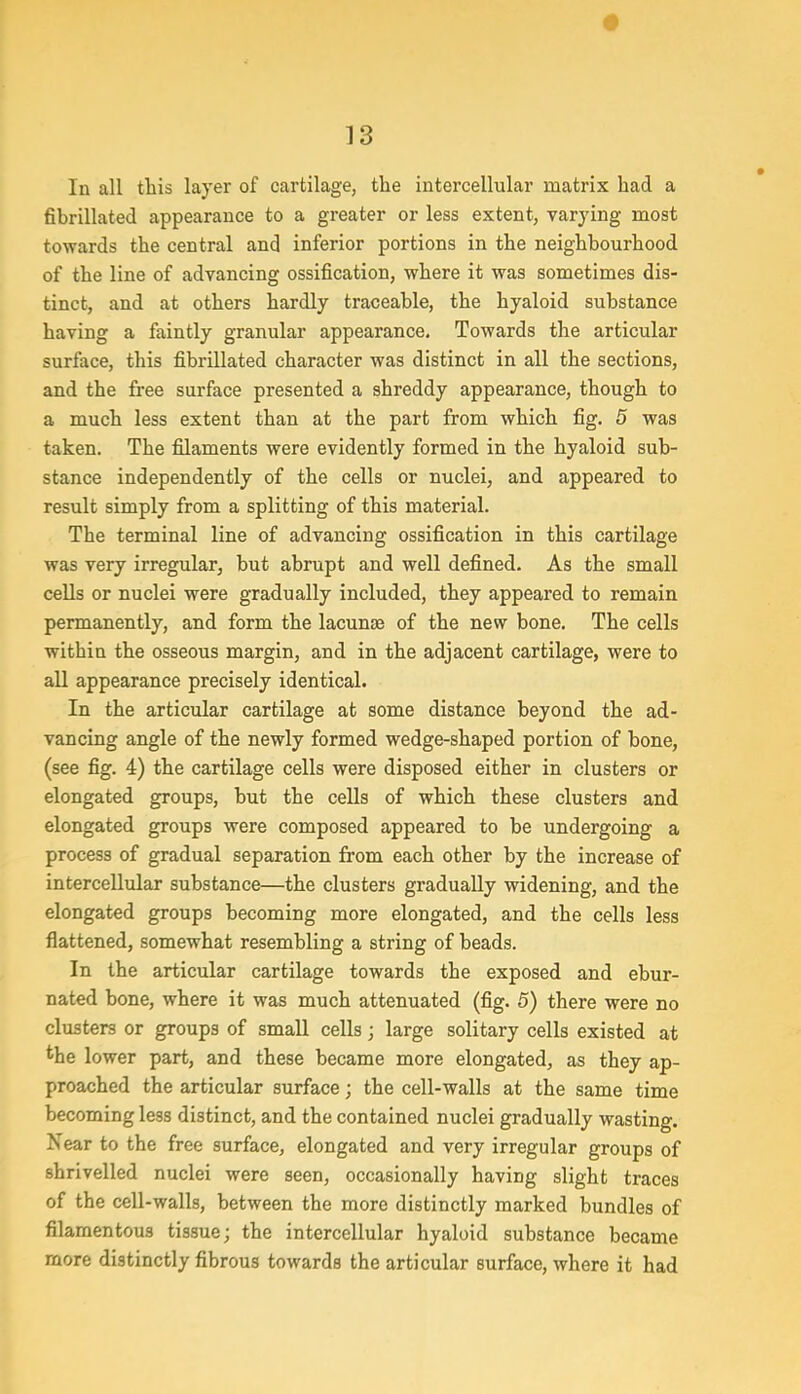 In all this layer of cartilage, the intercellular matrix had a fibrillated appearance to a greater or less extent, varying most towards the central and inferior portions in the neighbourhood of the line of advancing ossification, where it was sometimes dis- tinct, and at others hardly traceable, the hyaloid substance having a faintly granular appearance. Towards the articular surface, this fibrillated character was distinct in all the sections, and the free surface presented a shreddy appearance, though to a much less extent than at the part from which fig. 5 was taken. The filaments were evidently formed in the hyaloid sub- stance independently of the cells or nuclei, and appeared to result simply from a splitting of this material. The terminal line of advancing ossification in this cartilage was very irregular, but abrupt and well defined. As the small cells or nuclei were gradually included, they appeared to remain permanently, and form the lacunae of the new bone. The cells within the osseous margin, and in the adjacent cartilage, were to all appearance precisely identical. In the articular cartilage at some distance beyond the ad- vancing angle of the newly formed wedge-shaped portion of bone, (see fig. 4) the cartilage cells were disposed either in clusters or elongated groups, but the cells of which these clusters and elongated groups were composed appeared to be undergoing a process of gradual separation from each other by the increase of intercellular substance—the clusters gradually widening, and the elongated groups becoming more elongated, and the cells less flattened, somewhat resembling a string of beads. In the articular cartilage towards the exposed and ebur- nated bone, where it was much attenuated (fig. 5) there were no clusters or groups of small cells; large solitary cells existed at *he lower part, and these became more elongated, as they ap- proached the articular surface; the cell-walls at the same time becoming less distinct, and the contained nuclei gradually wasting. Near to the free surface, elongated and very irregular groups of shrivelled nuclei were seen, occasionally having slight traces of the cell-walls, between the more distinctly marked bundles of filamentous tissue; the intercellular hyaloid substance became more distinctly fibrous towards the articular surface, where it had