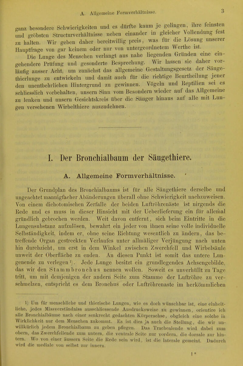 ganz besondere Schwierigkeiten und es dürfte kaum je gelingen ihre feinsten und gröbsten Structurverhllltnisse neben einander in gleicher Vollendung fest zu halten. Wir geben daher bereitwillig preis, was für die Lösung unserer Hauptfrage von gar keinem oder nur von untergeordnetem Werthe ist. Die Lunge des Menschen verlangt aus nahe liegenden Gründen eine ein- gehendere Prüfung und gesonderte Besprechung. Wir lassen sie daher vor- läufig ausser Acht, um zunächst das allgemeine Gestaltungsgesetz der Säuge- thierlunge zu entwickeln und damit auch für die richtige Beurtheilung jener den unentbehrlichen Hintergrund zu gewinnen. Vögeln und Reptilien sei es schliesslich vorbehalten, unsern Sinn vom Besondern wieder auf das Allgemeine zu lenken und unsern Gesichtskreis über die Säuger hinaus auf alle mit Lun- gen versehenen Wirbelthiere auszudehnen. L Der BroncMalbaum der Säugethiere. A. Allgemeine Pormverhältnisse. Der Grundplan des Bronchialbaums ist für alle Säugethiere derselbe und ungeachtet mannigfacher Abänderungen überall ohne Schwierigkeit nachzuweisen. Von einem dichotomischen Zerfalle der beiden Luftröhrenäste ist nirgends die Rede und es muss in dieser Hinsicht mit der Ueberlieferung ein für allemal gründlich gebrochen werden. Weit davon entfernt, sich beim Eintritte in die Luugensubstanz aufzulösen, bewahrt ein jeder von ihnen seine volle individuelle Selbständigkeit, indem er, ohne seine Richtung wesentlich zu ändern, das be- treifende Organ gestreckten Verlaufes unter allmäliger Verjüngung nach unten hin durchzieht, um erst in dem Winkel zwischen Zwerchfell und Wirbelsäule unweit der Oberfläche zu enden. An diesen Punkt ist somit das untere Lun- genende zu verlegen'). Jede Lunge besitzt ein grundlegendes Achsengebilde, das wir den Stammbronchus nennen wollen. Soweit es unverhüllt zu Tage tritt, um mit demjenigen der andern Seite zum Stamme der Luftröhre zu ver- schmelzen, entspricht es dem Bronchus oder Luftröhrenaste im herkömmlichen 1) Um für monschliche und thierische Lungen, wie es doch M ünschb<ar ist, eine einheit- liche, jedes Missvorstiindniss Jiusscliliossendo Ausdrucksweise zu gewinnen, oricntire ich alle Bronchiiilbäume nach einer senkrecht gedachten Kürperachse, obgleich eine solche in Wirklichkeit nur dem Menschen zukommt. Es ist dies ja auch die Stellung, die wir un- willkürlich jedem Bronchialbaum zu geben pflegen. Das Tracliealende wird dabei zum obern, das Zwerchfellendo zum untern, die ventrale Seite zur vordem, die dorsale zur hin- tern. Wo von einer äussern Seite die Kede sein wird, ist die laterale gemeint. Dadurch wird die mediale von selbst zur innern. 1*