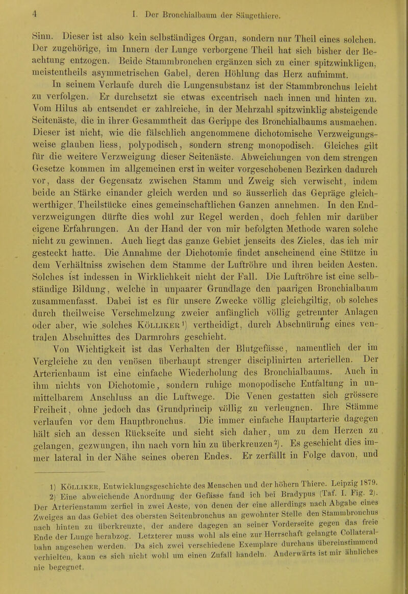 ►Siuu. Dieser ist also kein selbständiges Organ, sondern nur Theil eines solchen. Der zugehörige, im Innern der Lunge verborgene Theil hat sich bisher der Be- achtung entzogen. Beide Starambrouchen ergänzen sich zu einer spitzwinkligen, nieistentheils asymmetrischen Gabel, deren Höhlung das Herz aufnimmt. In seinem Verlaufe durch die Lungensubstanz ist der Stammbronchus leicht zu verfolgen. Er durchsetzt sie etwas excentrisch nach innen und hinten zu. Vom Hilus ab entsendet er zahlreiche, in der Mehrzahl spitzwinklig absteigende Seitenäste, die in ihrer Gesammtheit das Gerippe des Bronchialbaums ausmachen. Dieser ist nicht, wie die fälschlich angenommene dichotomische Verzweigungs- weise glauben Hess, polypodisch, sondern streng monopodisch. Gleiches gilt für die weitere Verzweigung dieser Seitenäste. Abweichungen von dem strengen Gesetze kommen im allgemeinen erst in weiter vorgeschobenen Bezirken dadurch vor, dass der Gegensatz zwischen Stamm und Zweig sich verwischt, indem beide an Stärke einander gleich werden und so äusserlich das Gepräge gleich- werthiger Theilstücke eines gemeinschaftlichen Ganzen annehmen. In den End- verzweigungen durfte dies wohl zur Regel werden, doch fehlen mir darüber eigene Erfahrungen. An der Hand der von mir befolgten Methode waren solche nicht zu gewinnen. Auch liegt das ganze Gebiet jenseits des Zieles, das ich mir gesteckt hatte. Die Annahme der Dichotomie findet anscheinend eine Stütze in dem Verhältniss zwischen dem Stamme der Luftröhre und ihren beiden Aesten. Solches ist indessen in Wirklichkeit nicht der Fall. Die Luftröhre ist eine selb- ständige Bildung, welche in unpaarer Grundlage den paarigen Bronchialbaum zusammenfasst. Dabei ist es für unsere Zwecke völlig gleichgiltig, ob solches durch tbeilweise Verschmelzung zweier anfänglich völlig geti-ennter Anlagen oder aber, wie .solches Köllikeu') vertheidigt, durch Abschnürung eines ven- tralen Abschnittes des Darmrohrs geschieht. Von Wichtigkeit ist das Veriialten der Blutgefässe, namentlich der im Vergleiche zu den venösen überhaupt strenger disciplinirten arteriellen. Der Arterienbaum ist eine einfache Wiederholung des Brouchialbauras. Auch in ihm nichts von Dichotomie, sondern ruhige monopodische Entfaltung in un- mittelbarem Anschluss an die Luftwege. Die Venen gestatten sich grössere Freiheit, ohne jedoch das Grundprincip vjjllig zu verleugnen. Ihre Stämme verlaufen vor dem Hauptbronchus. Die immer einfache Hauptarterie dagegen hält sich an dessen Rückseite und sieht sich daher, um zu dem Herzen zu gelangen, gezwungen, ihn nach vom hin zu überkreuzen 2). Es geschieht dies im- mer lateral in der Nähe seines oberen Endes. Er zerfällt in Folge davon, und 11 KÖLLIKER, Entwicklungsgeschichte des Menschen lind der höhern Thiere. Leipzig 1879. 2) Eine abwcicliende Anordnung der Gefässe fand ich hei Bradypus (Taf. I. Fig. 2). Der Arterienstamra zerfiel in zwei Aeste, von denen der eine allerdings nach Abgabe eines Zweiges an das Gebiet des obersten Seitenbronchus an gewohnter Stolle den Stumnibroncln.s nach hinten zu überkreuzte, der andere dagegen an seiner Vorderseite gegen das freie Ende der Lunge herabzog. Letzterer muss wohl als eine zur Herrschaft gelangte Collateral- bahn angesehen werden. Da sich zwei verschiedene Exemplare durchaus übereiustnnmen(l verhielten, kann es sicli nicht wohl um einen Zufall handeln. Anderwärts ist mir ähnliches nie begegnet.