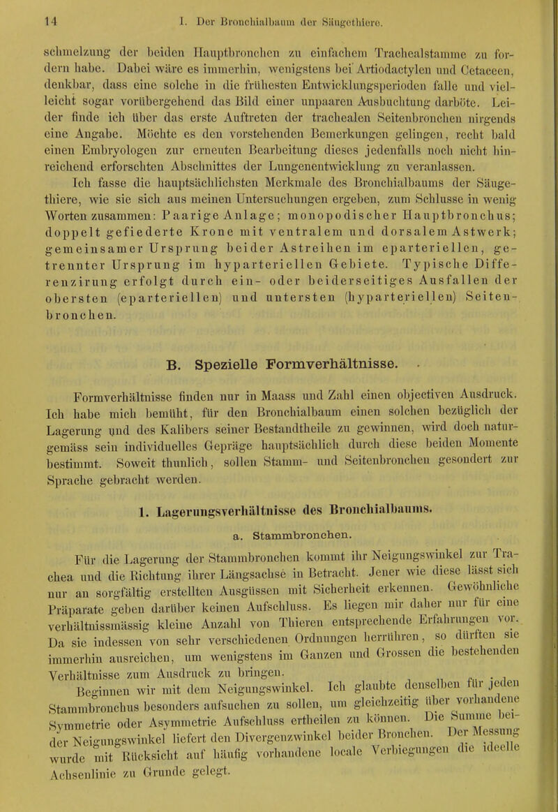 Schmelzung der beiden Ilauptbronclicn zu einfachem Tracliealstamme zu for- dern liabe. Dabei wäre es immerhin, wenigstens bei'Artiodactylen und Cetaceen, denkbar, dass eine solche in die frühesten Entwicklungsperioden falle und viel- leicht sogar vorübergehend das Bild einer unpaaren Ansbuchtung darböte. Lei- der finde ich über das erste Auftreten der trachealcn Seitenbroncheu nirgends eine Angabe. Möchte es den vorstehenden Bemerkungen gelingen, recht bald einen Embryologen zur erneuten Bearbeitung dieses jedenfalls noch nicht hin- reichend erforschten Abschnittes der Lungenentwickluug zu veranlassen. Ich fasse die haui)tsäclilichsten Merkmale des Bronchialbaums der Säuge- tliiere, wie sie sich ans meinen Untersuchungen ergeben, zum Schlüsse in wenig Worten zusammen: Paarige Anlage; monopodischer Hauptbronchus; doppelt gefiederte Krone mit ventralem und dorsalem Astwerk; gemeinsamer Ursprung beider Astreihen im eparteriellen, ge- trennter Ursprung im hyparteriellen Gebiete. Typische Diffe- renzirung erfolgt durch ein- oder beiderseitiges Ausfallen der obersten (eparteriellen) und untersten (hyparteriellen) Seiten- b ronchen. B. Spezielle Pormverhältnisse. . Formverhältnisse finden nur in Maass und Zahl einen objectiven Ausdruck. Ich habe mich bemüht, für den Bronchialbaum einen solchen bezüglich der Lagerung und des Kalibers seiner Bestandtheile zu gewinnen, wird doch natur- gemäss sein individuelles Gepräge hauptsächlich durch diese beiden Momente bestimmt. Soweit thunlich, sollen Stamm- und Seitenbroncheu gesondert zur Sprache gebracht werden. 1. Lagerungsverliältnisse des Broiichialbaiinis. a. Stammbronchen. Für die Lagerung der Stammbronchen kommt ihr Neigungswinkel zur Tra- chea und die Richtung ihrer Längsachse in Betracht. Jener wie diese lässt sich nur an sorgfältig erstellten Ausgüssen mit Sicherheit erkennen. Gewöhnliche Präparate geben darüber keinen Aufschluss. Es liegen mir daher nur für eine verhältnissmässig kleine Anzahl von Thieren entsprechende Erfahrung^en vor. Da sie indessen von sehr verschiedenen Ordnungen herrühren, so durtteu sie immerhin ausreichen, um wenigstens im Ganzen und Grossen die bestehenden Verhältnisse zum Ausdruck zu bringen. . Be-innen wir mit dem Neigungswinkel. Ich glaubte denselben für jeden Stammbronchus besonders aufsuchen zu sollen, um gleichzeitig über vorhandene Symmetrie oder Asymmetrie Aufschluss ertheilen zu k(innen Die bjme bei- der Neigungswinkel liefert den üivergcnzwinkcl beider Bronchen. Der Me su g wurde mit Rücksicht auf häufig vorhandene locale Verbiegungen die ideelle Achsenlinie zu Grunde gelegt.