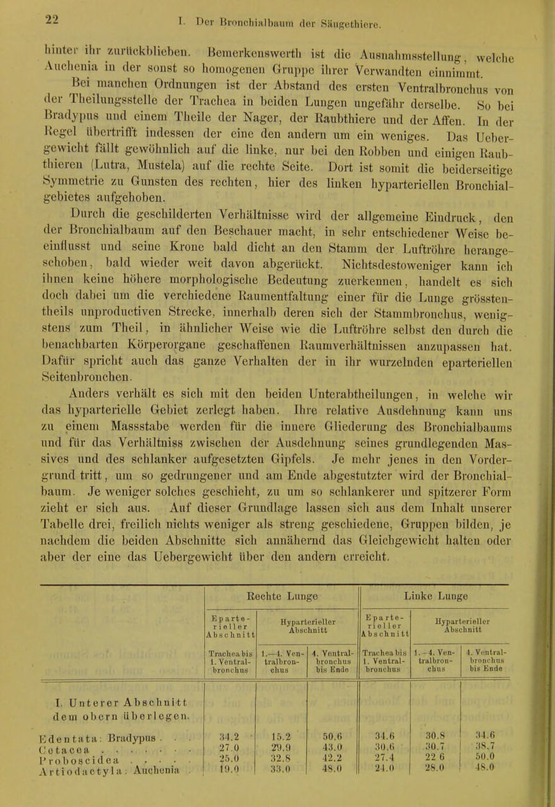 hinter ihr zurlickblieheu. Bemorkcnswcrth ist die AusnahmssteUung welche Auchenia in der sonst so homogenen Gruppe ihrer Verwandten einnimmt. Bei manchen Ordnungen ist der Abstand des ersten Ventralbronchus von der Theilungsstelle der Trachea in beiden Lungen ungefähr derselbe. So bei Bradyi)us und einem Theile der Nager, der Raubthiere und der Affen. In der Kegel übertrifft indessen der eine den andern um ein weniges. Das Ucber- gewicht fällt gewöhnlich auf die linke, nur bei den Robben und einigen Raub- thieren (Lutra, Mustela) auf die rechte Seite. Dort ist somit die beiderseitige Symmetrie zu Gunsten des rechten, hier des linken hyparteriellen Bronchial- gebietes aufgehoben. Durch die geschilderten Verhältnisse wird der allgemeine Eindruck, den der Bronchialbaum auf den Beschauer macht, in sehr entschiedener Weise be- eiuflusst und seine Krone bald dicht an den Stamm der Luftröhre herange- schoben, bald wieder weit davon abgerückt. Nichtsdestoweniger kann ich ihnen keine höhere morphologische Bedeutung zuerkennen, handelt es sich doch dabei nm die verchiedene Raumentfaltung einer für die Lunge grössteu- theils unproductiven Strecke, innerhalb deren sich der Stammbronchus, wenig- stens zum Theil, in ähnlicher Weise wie die Luftröhre selbst den durch die benachbarten Körperorgane geschaffenen Raumverhältnisseu anzupassen hat. Dafür spricht auch das ganze Verhalten der in ihr wurzelnden eparteriellen Seitenbrouchen. Anders verhält es sich mit den beiden Unterabtheihmgen, in welche wir das hyparterielle Gebiet zerlegt haben. Ihre relative Ausdehnung kann uns zu einem Massstabe werden für die innere Gliederung des Bronchialbaums und für das Verhältniss zwischen der Ausdehnung seines grundlegenden Mas- sives und des schlanker aufgesetzten Gipfels. Je mehr jenes in den Vorder- grund tritt, um so gedrungener und am Ende abgestutzter wird der Bronchial- baum. Je weniger solches geschieht, zu um so schlankerer und spitzerer Form zieht er sich aus. Auf dieser Grundlage lassen sich aus dem Inhalt unserer Tabelle drei, freilich nichts weniger als streng geschiedene, Gruppen bilden, je nachdem die beiden Abschnitte sich annähernd das Gleichgewicht halten oder aber der eine das Uebergewicht über den andern erreicht. Rechte Lunge Linke Lunge Eparte- r i e U e r Abschnitt Hyparterieller Abschnitt E pa rte- ri e 1 1 er Abschnitt Uyparlt'rieller Abschnitt Traclie-abis 1. Veutral- bronclius 1.—1. Von- tralbiou- chus 4. Veiitial- broncbiis biu Enie Trachea bis 1. Venlral- bronvhus 1.-4. Ven- tralbron- chus 4. Vcntral- brouchus bis Ende I. Unterer AbBchnitt dem obern überlegen. lOdentiitti: Bradypus . Artiodactyla; Auchonia ;j-i.2 ■ 27.0 25.0 19.0 15.2 2y.9 32.8 33.0 50.6 43.0 42.2 48.0 34.6 30.6 27.4 24.0 30.8 .30.7 22 6 28.0 34.6 38.7 50.0 48.0