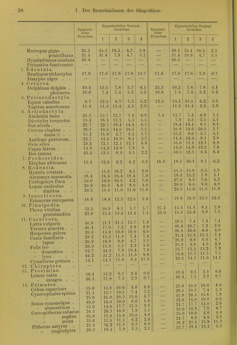 Kpaitoii- oUer Bronchus UypiirlorioUor Voiitiiil- brouuhus Eparteri- oUer Bronchus 1 2 3 4 25.3 16.5 6.3 3.8 — Hl 4 7 R 4 7 17.8 — 17.8 — 17.8 — 10.7 — 17.8 — 13.1 7.8 5.7 4.1 23.1 7 4 7.4 5.2 5.2 16.8 9.7 7.3 5.2 1 1 4 11.4 4.3 2.9 13.7 7.4 0.9 7 4 18.4 13.2 5.3 5.3 22.7 18.4 14.4 8.1 10.5 14.6 10.5 3.1 11.9 4.7 3.1 1.7 1 4 4 1(1 0 8.1 3.7 12 1 12.1 12.1 8.8 J 'x, */ 14 1 7.8 i ^ • 1 6.4 4.1 2.2 12.8 6.2 6.2 3.3 1 R 1 41.6 18.2 4.5 2.0 IS 4 1R 4 18.4 7.9 10.ü 10.0 4!2 7.0 20.0 8.0 8.0 4.0 1 'S (i 11 0 11.0 11.0 1 f< R 1 o. o 12.5 12.5 5.0 8.1 5.7 5.7 27.4 1 't 4 13.4 13.4 7.1 22 6 21.1 13.7 7.4 17.9 7^2 2^8 2.8 1 1.1/ 1 n 0 1 U. V 10.0 4.0 15.2 11.3 7!4 7.4 4.7 3.1 — 11.6 5.5 2!2 1.6 34.2 7.9 18.4 7.9 — 11 5 11.5 8.8 1 A 1 11 0 8.4 21.0 — — 1 'S 9 6 1 2.4 0.6 1 7 R 1 1 .0 7.1 2.9 0.7 J O.U 1 ft 0 4.0 4.0 1 0 'S 7.4 3.2 25.0 20.3 15.6 4.7 14.0 10.0 6.0 1.6 14.0 17.7 11.5 2.6 20.3 10.9 7.8 3.1 15.0 15.0 15.0 4.0 11.5 11.5 6.2 2.6 36.2 11.3 0.5 0.5 18.4 7.9 5.3 2.1 llyiiartorioUor Voiitral- broiichu» Macropus gigas . . pciücillatus Ilypsiprimmis luurimis Pcranielcs fusciventcr 3. Edcntata. Bradypus tridactylus Dasypus ingcr . . 4. Cctacca. Dclphiiuis delphis . phocaeua 5. Periss od acty 1 a. Eqiuis caballus . . Tapirus americanus 6. Artiodactyla. Auchcnia lama . . Dicotyles torquatiis Sus scrofa.... Cervus eiaphus . . dama Q . . Antilope gutturosa. Ovis aries .... Capra liirciis . . . Büs tanrns 7. Probüscidea. Elephas africanus . 8. Rode n tia. Ilystrix cristata . . Arctoniys inarmotta Coelogeuys Paca . Lepus cuniculus timidus . - 9. Insectivora. Eriuaceus enropaeus 10. Pinnipedia. Plioca vitulina . . groenlandica 11. Carnivora. Lutra vulgaris . . Viverra genetta. . Herpestes galera . Cauis familiaris . . - lupus . - • Felis leo . . • • domestica . . - lynx .... Cynailurus guttata . 12. Chiroptera . . 13. Prosimiae. Lemur catta . . . mongoz . . 14. Primates. Cebus capucinus . Cynoccplialus sphinx Inuus cynomolgus . - neinestrinus . Cercopitliecus sabaeus ceplius mona Pithecus satyrus . troglodytes 25.3 31.4 46.4 17.8 19.4 20.0 9.7 11.4 21.1 18.4 22.7 28.1 15.2 22.7 25.2 14.9 42.4 15.4 18.4 10.0 20.0 20.3 18.S 32.5 22.6 40.0 46.4 20.0 28.2 26.9 20.0 52.7 44.2 14.1 39.4 46.4 15.0 21.1 25.0 40.0 33.6 20.3 65.0 33.6 21.5 26.3 48.1 31.4 46.4 35.4 10.9 17.8 10.2 7.4 14.1 11.4 13.7 7.9 18.4 1.6.9 15.2 14.4 16.0 14.9 30.3 18.3 51.3 18.4 27.9 20.0 20.3 18 8 14.4 13.4 29.5 46.4 26.0 21.4 26.9 23.9 52.7 33.6 29.4 17.8 16.5 4.7 39.4 46.4 25.0 29.5 43.8 32.0 24.7 25.0 35.0 24.7 36.2 52.7 11.1 11.4 7.4 5.3 14.4 14.6 6.6 14.4 12.1 14.9 12.1 10.4 13.0 13.2 9.9 8.0 15.6 18.8 14.4 13.4 7.4 10.7 10.0 15.8 9.0 3.6 13.2 17.7 14.1 9.1 7.1 10.0 10.5 20.3 14.0 17.7 10.9 10.0 8.8 21.5 18.4 2.5 3.1 7.0 7.8 5.2 6.2 2.9 0.9 2.1 8.1 10.5 3.1 8.1 12.1 19.2 6.4 8.1 6.5 7 9 7.0 8.0 11.0 12.5 8.1 9.9 7.4 7.2 6.0 11.3 6.6 4.5 13.2 11.5 11.0 2.4 2.9 10.0 7.4 15.6 10.0 14.0 7.8 4.0 8.8 15.8 13.2 0.7 4.1 5.2 3.5 2.9 3.2 2.1 8.1 3.1 3.1 2.0 8.8 7.8 6.4 6.2 4.5 2.1 4.2 4.<l 11.0 12.5 2.0 7.1 7.4 2.8 4.0 7.4 4.7 2.9 7.9 7.1 14.1 0.6 0.7 4.0 5.3 7.8 6.0 2.6 4.7 4.0 2.6 11.3 5.3