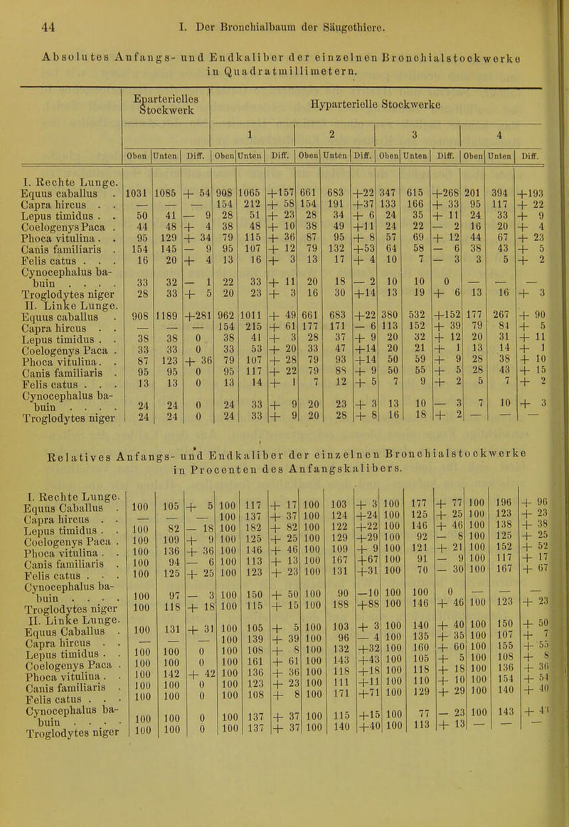 Absolutos Anfangs- und Endkaliber der einzelnen Bronchialstockworko in Quadratmillimetern. Eparteriellos Stockwerk Hyparterielle Stockwerke 1 2 3 4 Oben Unten Diff. Oben Unten DifF. Oben Unten Diff. Oben Unten | Diff. Oben Unten DifF. I. Rechte Lunge. Equus cabalius 1031 1085 4- 54 908 1065 +157 661 683 +22 347 615 +268 201 394 + 193 Capra hircus . . 154 212 + 58 154 191 +37 133 166 + 33 95 117 + 22 1 **** Lepus timidus . 50 41 — 9 28 51 + 23 28 34 4- 6 24 35 + 11 24 33 + 9 Coelogenys Paca . 44 48 + 4 38 48 + 10 38 49 +11 24 22 — 2 16 20 + 4 Phoca vitulina. . 95 129 + 34 79 115 + 36 87 95 + 8 57 69 + 12 44 67 + 23 Cania familiaris . 154 145 — 9 95 1Ü7 + 12 79 132 +53 64 58 — 6 38 43 + 5 Felis catus . . . 16 20 + 4 13 16 + 3 13 17 + 4 10 7 — 3 3 5 + 2 Cynocephalus ba- 18 buin .... 33 32 — 1 22 33 + 11 20 — 2 10 10 0 Troglodytes niger 28 33 + 5 20 23 + 3 16 30 +14 13 19 + 6 13 16 + 3 TT T * 1 T — II. Linke Lunge. Equus cabalius 908 1189 +281 962 1011 + 49 661 683 +22 380 532 +152 177 267 + 90 Capra hircus . . 154 215 + 61 177 171 — 6 113 152 + 39 79 84 + 5 38 38 0 38 41 + 3 28 37 + 9 20 32 + 12 20 31 + 11 Coelogenys Paca . 33 33 0 33 53 + 20 33 47 +14 20 21 + 1 13 14 + 1 Phoca vitulina. . 87 123 + 36 79 107 + 28 79 93 +14 50 59 + 9 28 38 + 10 Canis familiaris . 95 95 0 95 117 + 22 79 8S + 9 50 55 + 5 28 43 + 15 Felis catus . . . 13 13 0 13 14 + 1 7 12 + 5 7 9 + 2 5 7 + 2 Cynocephalus ba- buin .... 24 24 0 24 33 + 9 20 23 + 3 13 10 — 3 7 10 + 3 Troglodytes niger 24 24 0 1 24 33 + 9 20 28 + 8 16 18 + 2 Relatives Anfangs- und Endkaliber der einzelnen Bronchialstockwerke in Procenten des Anfangskalibers. I. Rechte Lunge. Equus Cabalius Capra hircus . Lepus timidus . Coelogenys Paca Phoca vitulina . Canis familiaris Felis catus . • Cynocephalus ba- buin . . . Troglodytes niger II. Linke Lunge Equus Cabalius Capra hircus . Lepus timidus . Coelogenys Paca Phoca vitulina. Canis familiaris Felis catus . . Cynocephalus ba- buin ... Troglodytes niger 100 105 + 5 100 117 100 137 100 82 — 18 100 182 100 109 + 9 100 125 100 136 + 36 100 146 100 94 — 6 100 113 100 125 + 25 100 123 100 97 — 3 100 150 100 118 + 18 100 115 100 131 + 31 100 105 100 139 100 100 0 100 108 100 100 0 100 161 100 142 + 42 100 136 100 100 0 100 123 100 100 0 100 108 100 100 0 100 137 lUO 100 0 100 137 +17 + 37 + 82 + 25 + 46 + 13 + 23 + 50 + 15 5 39 8 61 36 23 8 100 100 100 100 100 100 100 100 100 100 100 100 100 100 100 100 103 + 3 100 177 124 +24 100 125 122 +22 100 146 129 +29 100 92 109 + 9 100 121 167 -1-67 100 Ol 131 +31 100 70 90 — 10 100 100 188 +88 100 146 103 + 3 100 140 96 — 4 100 135 132 +32 100 160 143 +43 100 105 118 +18 100 118 III +11 100 110 171 +71 100 129 115 +15 100 77 140 +40 100 113 + 77 + 25 + 46 - 8 + 21 - 9 - 30 0 + 46 + 40 + 35 + 60 + 5 + 18 + 10 + 29 - 23 + 13 100 196 + 96 100 123 + 23 100 138 + 38 100 125 + 25 100 152 + 52 100 117 + 1' 100 167 + 67 100 123 + 23 100 150 + 50 100 107 + ' 100 155 + 5r. 100 108 + ^ 100 136 + ;t(i 100 154 + 54 100 140 + 40 100 143 + 4 t