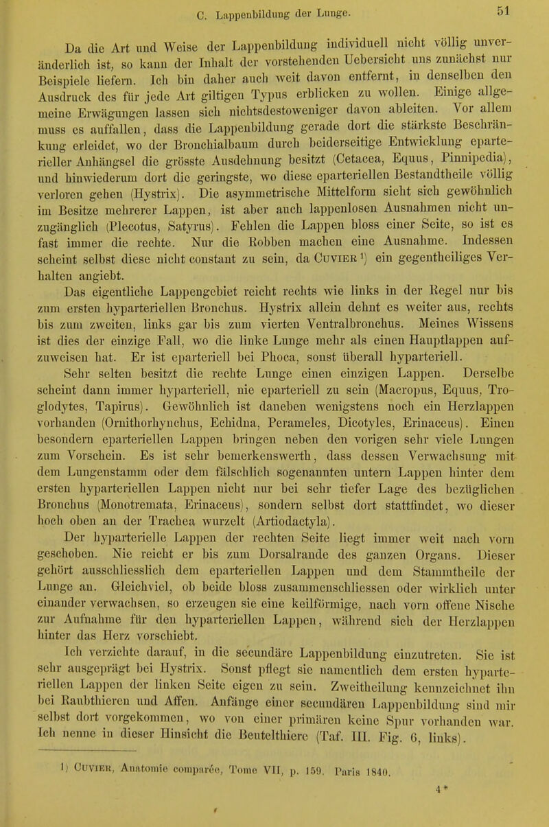 Da die Art uud Weise der Lappeiibildung individuell nicht völlig unver- änderlich ist, so kann der Inhalt der vorstehenden Uebersicht uns zunächst nur Beispiele liefeni. Ich bin daher auch weit davon entfernt, in denselben den Ausdruck des für jede Art giltigen Typus erblicken zu wollen. Einige allge- meine Erwägungen lassen sich nichtsdestoweniger davon ableiten. Vor allem muss es auffallen, dass die Lappenbildung gerade dort die stärkste Beschrän- kung erleidet, wo der Bronchialbaum durch beiderseitige Entwicklung eparte- rieller Anhängsel die grösste Ausdehnung besitzt (Cetacea, Equus, Pinnipedia), uud hinwiederum dort die geringste, wo diese eparteriellen Bestandtheile völlig verloren gehen (Hystrix). Die asymmetrische Mittelfonn sieht sich gewöhnlich im Besitze mehrerer Lappen, ist aber auch lappenlosen Ausnahmen nicht un- zugänglich (Plecotus, Satyrus). Fehlen die Lappen bloss einer Seite, so ist es fast immer die rechte. Nur die Robben machen eine Ausnahme. Indessen scheint selbst diese nicht constant zu sein, da Cuvier ein gegentheiliges Ver- halten angiebt. Das eigentliche Lappengebiet reicht rechts wie links in der Regel nur bis zum ersten hyparteriellen Bronchus. Hystrix allein dehnt es weiter aus, rechts bis zum zweiten, links gar bis zum vierten Ventralbroncbus. Meines Wissens ist dies der einzige Fall, wo die linke Lunge mehr als einen Haui)tlappen auf- zuweisen hat. Er ist eparteriell bei Phoca, sonst Uberall hyparteriell. Sehr selten besitzt die rechte Lunge einen einzigen Lappen. Derselbe scheint dann immer hyparteriell, nie eparteriell zu sein (Macropus, Equus, Tro- glodytes, Tapirus). Gewöhnlich ist daneben wenigstens noch ein Herzlappen vorhanden (Ornithorhynchus, Echidna, Perameles, Dicotyles, Erinaceus). Einen besondern eparteriellen Lappen bringen neben den vorigen sehr viele Lungen zum Vorschein. Es ist sehr bemerkenswerth, dass dessen Verwachsung mit dem Lungeustamm oder dem fälschlich sogenannten untern Lappen hinter dem ersten hyparteriellen Lappen nicht nur bei sehr tiefer Lage des bezüglichen Bronchus (Monotremata, Erinaceus), sondern selbst dort stattfindet, wo dieser hoch oben an der Trachea wurzelt (Artiodactyla). Der hyparterielle Lappen der rechten Seite liegt immer weit nach vorn geschoben. Nie reicht er bis zum Dorsalrande des ganzen Organs. Dieser gehört ausschliesslich dem eparteriellen Lappen und dem Staramtheile der Lunge an. Gleichviel, ob beide bloss zusammenschliessen oder wirklich unter einander verwachsen, so erzeugen sie eine keilförmige, nach vorn offene Nische zur Aufnahme für den hyparteriellen Lappen, während sich der Herzlappen hinter das Herz vorschiebt. Ich verzichte darauf, in die secundäre Lappenbildung einzutreten. Sie ist sehr ausgeprägt bei Hystrix. Sonst pflegt sie namentlich dem ersten hyparte- riellen Lappen der linken Seite eigen zu sein. Zweitheilung kennzeichnet ihn bei Raubthieren und Affen. Anfänge einer secundären Lapi)enbildung sind mir selbst dort vorgekommen, wo von einer primären keine Spur vorhanden war. Ich nenne in dieser Hinsicht die Beutelthiere (Taf. III. Fig. 6, links). 1; CuviEU, Anatomie coinparo«, Tome VII, p. I5<). Paris 1840. 4 *