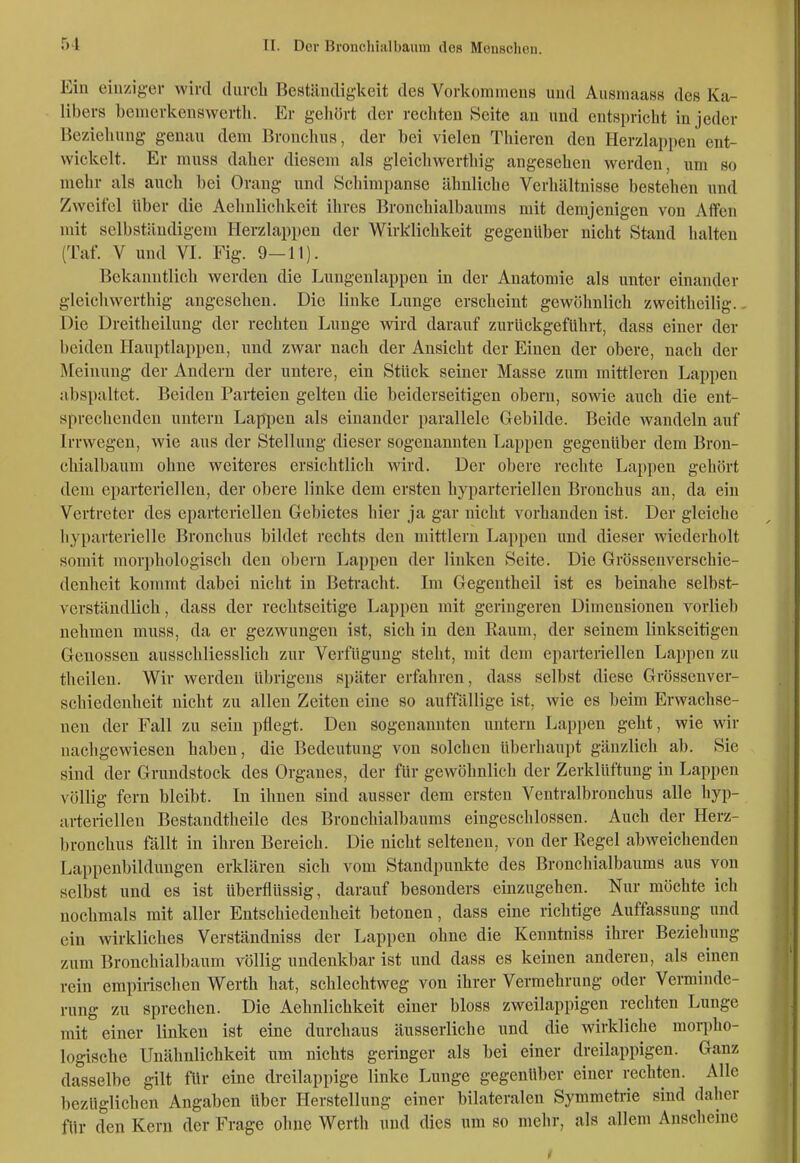 Ein einziger wird dnrcli Beständigkeit des Vorkommens und Aiismaass des Ka- libers benierkenswcrtli. Er gehört der rechten Seite an und entspricht in jeder Bezieliung- genau dem Bronchus, der bei vielen Thieren den Herzlappen ent- wickelt. Er muss daher diesem als gleichwerthig angesehen werden, um so mehr als auch bei Oraug und Schimpanse ähnliche Verhältnisse bestehen und Zweifel Uber die Aehnlichkeit ihres 15ronchialbaums mit demjenigen von Aflfen mit selbständigem Herzlappen der Wirklichkeit gegenüber nicht Stand halten (Taf. V und VI. Fig. 9-11). Bekanntlich werden die Lungenlappen in der Anatomie als unter einander gleichwerthig angesehen. Die linke Lunge erscheint gewöhnlich zweitheilig., Die Dreitheilung der rechten Lunge wird darauf zurückgeführt, dass einer der beiden Hauptlappen, und zwar nach der Ansicht der Einen der obere, nach der Meinung der Andern der untere, ein Stück seiner Masse zum mittleren Lappen abspaltet. Beiden Parteien gelten die beiderseitigen obern, sowie auch die ent- sprechenden untern Lappen als einander parallele Gebilde. Beide wandeln auf Irrwegen, wie aus der Stellung dieser sogenannten Trappen gegenüber dem Bron- chialbaum ohne weiteres ersichtlich wird. Der obere rechte Lappen gehört dem eparteriellen, der obere linke dem ersten hyparteriellen Bronchus an, da ein Vertreter des eparteriellen Gebietes hier ja gar nicht vorhanden ist. Der gleiche byparterielle Bronchus bildet rechts den mittlem Lappen und dieser wiederholt somit morphologisch den obern Lappen der linken Seite. Die Grössenverschie- denheit kommt dabei nicht in Betracht. Im Gegentheil ist es beinahe selbst- verständlich , dass der rechtseitige Lappen mit geringeren Dimensionen vorlieb nehmen muss, da er gezwungen ist, sich in den Raum, der seinem linkseitigen Genossen ausschliesslich zur Verfügung steht, mit dem eparteriellen Lappen zu theilen. Wir werden übrigens später erfahren, dass selbst diese Grössenver- schiedenheit nicht zu allen Zeiten eine so auffällige ist, wie es beim Erwachse- nen der Fall zu sein pflegt. Den sogenannten untern Lappen geht, wie wir nachgewiesen haben, die Bedeutung von solchen überhaupt gänzlich ab. Sie sind der Grundstock des Organes, der für gewöhnlich der Zerklüftung in Lappen völlig fern bleibt. In ihnen sind ausser dem ersten Ventralbronchus alle hyp- arteriellen Bestandtheile des Bronchialbaums eingeschlossen. Auch der Herz- bronchus fällt in ihren Bereich. Die nicht seltenen, von der Regel abweichenden Lappenbildungen erklären sich vom Standpunkte des Bronchialbaums aus von selbst und es ist überflüssig, darauf besonders einzugehen. Nur möchte ich nochmals mit aller Entschiedenheit betonen, dass eine richtige Auffassung und ein wirkliches Verständniss der Lappen ohne die Kenntniss ihrer Beziehung zum Bronchialbaum völlig undenkbar ist und dass es keinen anderen, als einen rein empirischen Werth hat, schlechtweg von ihrer Vermehrung oder Verminde- rung zu sprechen. Die Aehnlichkeit einer bloss zweilappigen rechten Lunge mit einer linken ist eine durchaus äusserliche und die wirkliche morpho- logische Unähnlichkeit um nichts geringer als bei einer dreilappigen. Ganz dasselbe gilt für eine dreilappige linke Lunge gegenüber einer rechten. Alle bezüglichen Angaben über Herstellung einer bilateralen Symmetrie sind daher für den Kern der Frage ohne Werth und dies um so mehr, als allem Anscheine