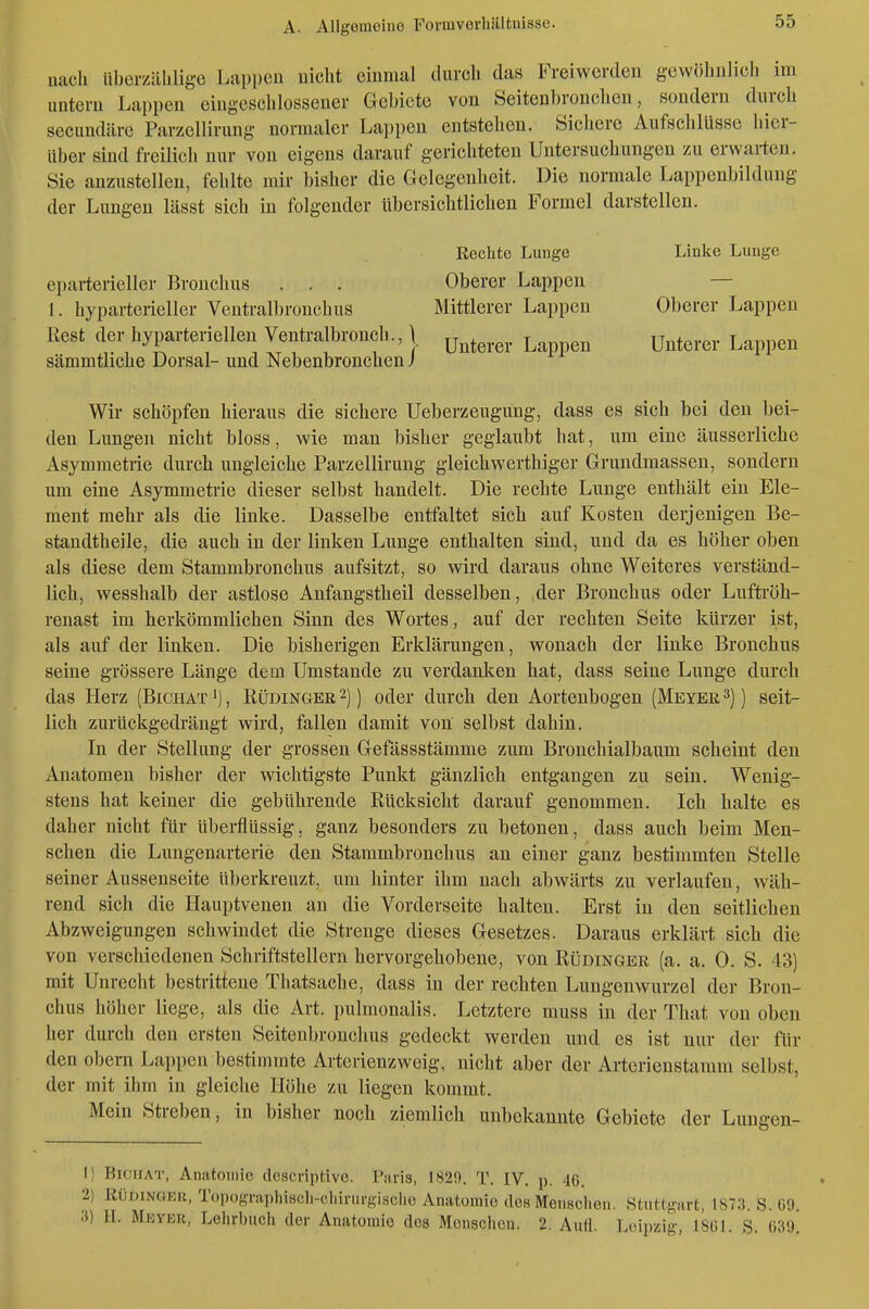 uacli UberzüUlige Lappen uiclit einmal durch das Freiwerden gewöhnlich im imtcrn Lappen eingeschlossener Gebiete von Seitenbronchen, sondern durch secundäre Parzellirung normaler Lappen entstehen. Sichere Aufschlüsse hier- über sind freilich nur von eigens darauf gerichteten Untersuchungen zu erwarten. Sie anzustellen, fehlte mir bisher die Gelegenheit. Die normale Lappenbildung der Lungen lässt sich in folgender übersichtlichen Formel darstellen. eparterieller Bronchus I. hyparterieller Ventralbronchus Rest der hyparteriellen Ventralbronch., \ sämmtliche Dorsal- und Nebenbronchen i Rechte Luuge Oberer Lappen Mittlerer Lappen Unterer Lappen Linke Lunge Oberer Lappen Unterer Lappen Wir schöpfen hieraus die sichere Ueberzengung, dass es sich bei den l)ei- den Lungen nicht bloss, wie man bisher geglaubt hat, um eine äusserliche Asymmetrie durch ungleiche Parzellirung gleichwerthiger Grundmassen, sondern nm eine Asymmetrie dieser selbst handelt. Die rechte Lunge enthält ein Ele- ment mehr als die linke. Dasselbe entfaltet sich auf Kosten derjenigen Be- standtheile, die auch in der linken Liinge enthalten sind, und da es höher oben als diese dem Stammbronchus aufsitzt, so wird daraus ohne Weiteres verständ- lich, wesshalb der astlose Anfangstheil desselben, ,der Bronchus oder Luftröh- renast im herkömmlichen Sinn des Wortes, auf der rechten Seite kürzer ist, als auf der linken. Die bisherigen Erklärungen, wonach der linke Bronchus seine grössere Länge dem Umstände zu verdanken hat, dass seine Lunge durch das Herz (Bictiat'), Rüdinger 2)) oder durch den Aortenbogen (Meyer 3)) seit- lich zurückgedrängt wird, fallen damit von selbst dahin. In der Stellung der grossen Gefässstämme zum Bronchialbaum scheint den Anatomen bisher der wichtigste Punkt gänzlich entgangen zu sein. Wenig- stens hat keiner die gebührende Rücksicht darauf genommen. Ich halte es daher nicht für übei-flüssig, ganz besonders zu betonen, dass auch beim Men- schen die Lungenarterie den Stammbronchus an einer ganz bestimmten Stelle seiner Aussenseite überkreuzt, um hinter ihm nach abwärts zu verlaufen, wäh- rend sich die Hauptvenen an die Vorderseite halten. Erst in den seitlichen Abzweigungen schwindet die Strenge dieses Gesetzes. Daraus erklärt sich die von verschiedenen Schriftstellern hervorgehobene, von Rüdinger (a. a. 0. S. 43) mit Unrecht bestrittene Thatsache, dass in der rechten Lungenwurzel der Bron- chus höher liege, als die Art. pulmonalis. Letztere muss in der That von oben her durch den ersten Seitenbronchus gedeckt werden und es ist nur der für den obern Lappen bestimmte Arterienzweig, nicht aber der Arterienstamm selbst, der mit ihm in gleiche Höhe zu liegen kommt. Mein Streben, in bisher noch ziemlich unbekannte Gebiete der Luugen- 1) BiCHAT, Anatomie doscriptivo. Taris, 1820. T. IV. p. 46. 2) RÜDINGER, Topogniphiscl.-cl.inii'gisclie Anatomie des Menschen. Stuttgart, 1873. S. 69. :i) H. Meyer, Lohrl)uch der Anatomie des Monsclion. 2. Aufl. Leipzig, 1861. S. 639.