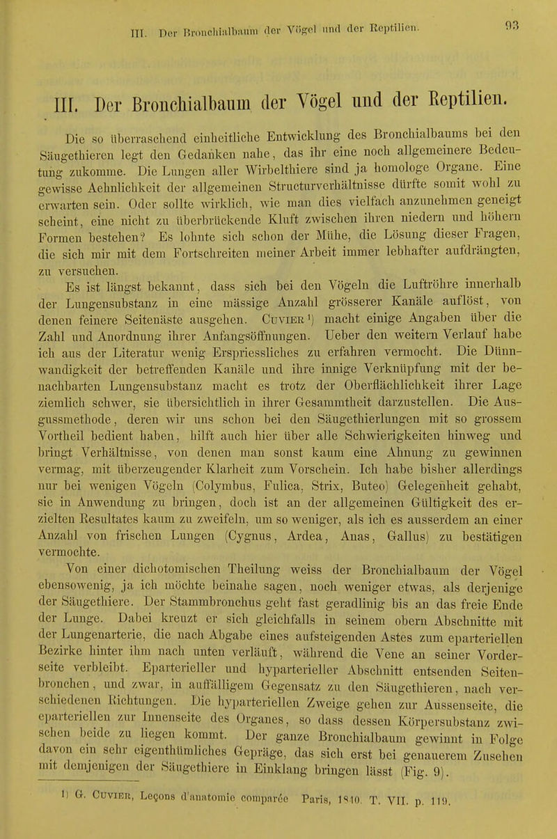 03 III. Der Bronchialbaiiin der Vögel und der Eeptilieii. Die so überraschend einheitliche Entwicklung des Bronchialbaums bei den Säugethiereu legt den Gedanken nahe, das ihr eine noch allgemeinere Bedeu- tung zukomme. Die Lungen aller Wirbelthiere sind ja homologe Organe. Eine gewisse Aehnlichkeit der allgemeinen Structurverhältuisse dürfte somit wohl zu erwarten sein. Oder sollte wirklich, wie man dies vielfach anzunehmen geneigt scheint, eine nicht zu überbrückende Kluft zwischen ihren niedern und höhern Formen bestehen? Es lohnte sich schon der Mühe, die Lösung dieser Fragen, die sich mir mit dem Fortschreiten meiner Arbeit immer lebhafter aufdrängten, zu versuchen. Es ist längst bekannt, dass sich bei den Vögeln die Luftröhre innerhalb der Lungensubstanz in eine mässige Anzahl grösserer Kanäle auflöst, von denen feinere Seitenäste ausgehen. Cuvier') macht einige Angaben über die Zahl und Anordnung ihrer Anfangsöflfuungen. lieber den weitern Verlauf habe ich aus der Literatur wenig Erspriessliches zu erfahren vermocht. Die Dünn- wandigkeit der betreffenden Kanäle und ihre innige Verknüpfung mit der be- nachbarten Lungensubstanz macht es trotz der Oberflächlichkeit ihrer Lage ziemlich schwer, sie übersichtlich in ihrer Gesammtheit darzustellen. Die Aus- gussmethode , deren wir uns schon bei den Säugethierlungen mit so grossem Vortheil bedient haben, hilft auch hier über alle Schwierigkeiten hinweg und bringt Verhältnisse, von denen man sonst kaum eine Ahnung zu gewinnen vermag, mit überzeugender Klarheit zum Vorschein. Ich habe bisher allerdings nur bei wenigen Vögeln (Colymbus, Fulica, Strix, Buteo) Gelegenheit gehabt, sie in Anwendung zu bringen, doch ist an der allgemeinen Gültigkeit des er- zielten Resultates kaum zu zweifeln, um so weniger, als ich es ausserdem an einer Anzahl von frischen Lungen (Cygnus, Ardea, Anas, Gallus) zu bestätigen vermochte. Von einer dichotomischen Theilung weiss der Bronchialbaum der Vögel ebensowenig, ja ich möchte beinahe sagen, noch weniger etwas, als derjenige der Säugethiere. Der Stammbronchus geht fast geradlinig bis an das freie Ende der Lunge. Dabei kreuzt er sich gleichfalls in seinem obern Abschnitte mit der Lungenarterie, die nach Abgabe eines aufsteigenden Astes zum eparteriellen Bezirke hinter ihm nach unten veriäuft, während die Vene an seiner Vorder- seite verbleibt. Eparterieller und hyparterieller Abschnitt entsenden Seiten- bronchen, und zwar, in auffälligem Gegensatz zu den Säugethieren, nach ver- schiedenen Richtungen. Die hyparteriellen Zweige gehen zur Aussenseite, die eparteriellen zur Innenseite des Organes, so dass dessen Körpersubstanz'zwi- schen beide zu liegen kommt. Der ganze Bronchialbaum gewinnt in Folge davon ein sehr eigenthümliches Gepräge, das sich erst bei genauerem Znsehen mit demjenigen der Säugethiere in Einklang bringen lässt (Fig. 9). I) G. CuviER, Legons d'anntomie compnreo Paris, IS 10. T. VII. p. 119.