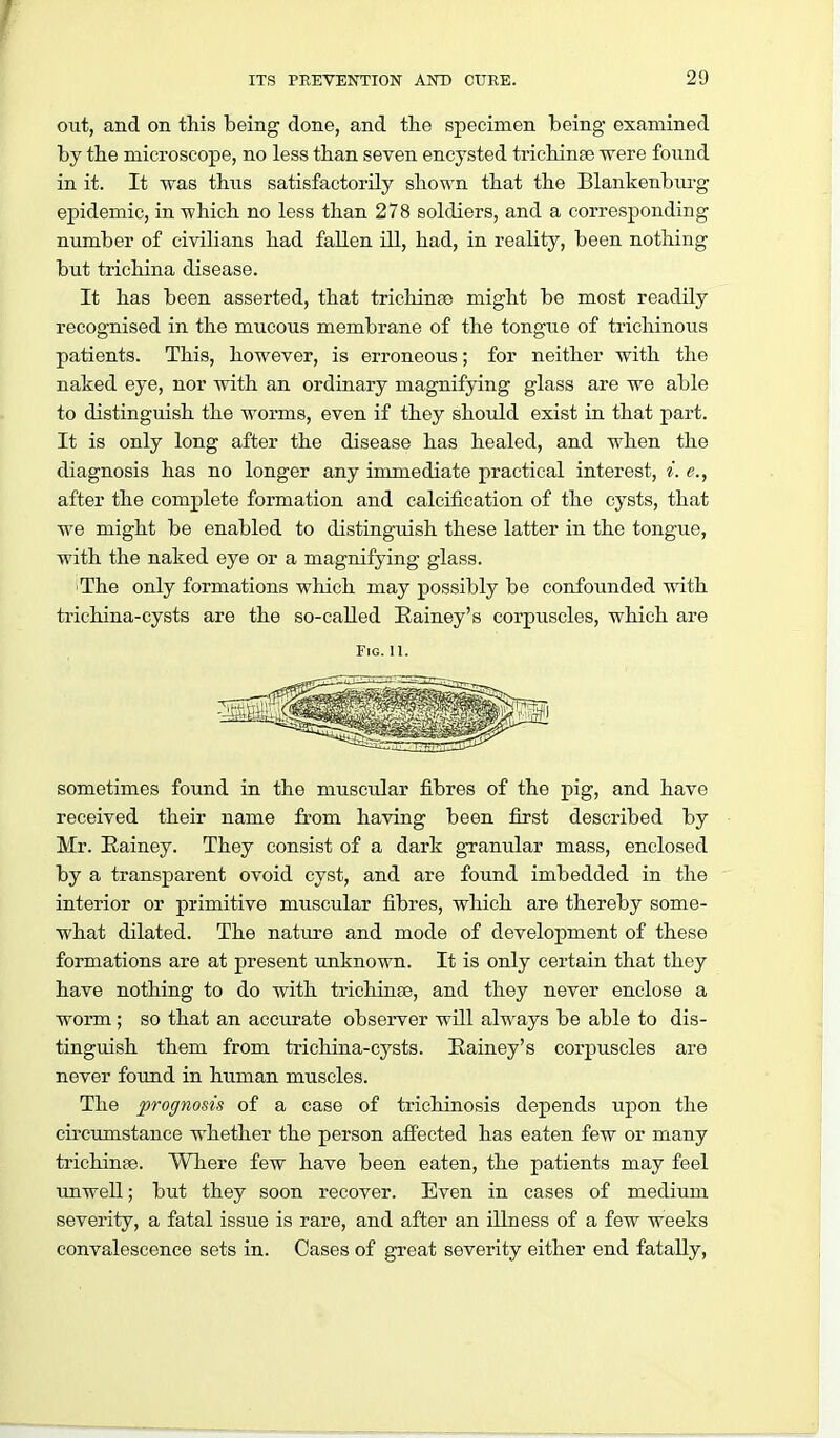 out, and on this being done, and the specimen being examined by the microscope, no less than seven encysted trichinae were found in it. It was thus satisfactorily shown that the Blankenbiu'g epidemic, in which no less than 278 soldiers, and a corresponding number of civilians had fallen ill, had, in reality, been nothing but trichina disease. It has been asserted, that trichinae might be most readily recognised in the mucous membrane of the tongue of trichinous patients. This, however, is erroneous; for neither with the naked eye, nor with an ordinary magnifying glass are we able to distinguish the worms, even if they should exist in that part. It is only long after the disease has healed, and when the diagnosis has no longer any immediate practical interest, i. e., after the complete formation and calcification of the cysts, that we might be enabled to distinguish these latter in the tongue, with the naked eye or a magnifying glass. iThe only formations which may possibly be confounded with trichina-cysts are the so-called Eainey's corpuscles, which are sometimes found in the muscular fibres of the pig, and have received their name from having been first described by Mr. Eainey. They consist of a dark granular mass, enclosed by a transparent ovoid cyst, and are found imbedded in the interior or primitive muscular fibres, which are thereby some- what dilated. The natiire and mode of development of these formations are at present unknown. It is only certain that they have nothing to do with trichinae, and they never enclose a worm; so that an accurate observer will always be able to dis- tinguish them from trichina-cj^sts. Eainey's corpuscles are never found in human muscles. The prognosis of a case of trichinosis depends upon the cii'cumstance whether the person afi'ected has eaten few or many trichinae. Where few have been eaten, the patients may feel unwell; but they soon recover. Even in cases of medium severity, a fatal issue is rare, and after an illness of a few weeks convalescence sets in. Cases of great severity either end fatally, Fig.II.