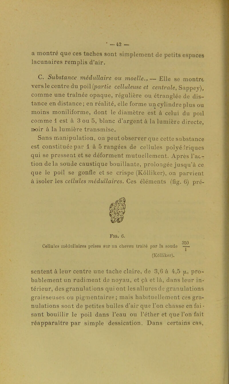 a montré que ces taches sont simplement de petits espaces lacunaires remplis d'air. C. Substance médullaire ou moelle., — Elle se montre vers le centre du poil {partie celluleuse et centrale, Sappey), comme une traînée opaque, régulière ou étranglée de dis- tance en distance ; en réalité, elle forme un cylindre plus ou moins moniliforme, dont le diamètre est à celui du poil comme 1 est à 3 ou 5, blanc d'argent à la lumière directe, noir à la lumière transmise. Sans manipulation, on peut observer que cette substance est constituée par 1 à 5 rangées de cellules polyé driques qui se pressent et se déforment mutuellement. Après l'ac- tion delà soude caustique bouillante, prolongée jusqu'à ce que le poil se gonfle et se crispe (KôUiker), on parvient à isoler les cellules médullaires. Ces éléments (fig. 6) pré- FiG. 6. 350 Cellules médullaires prises sur un cheveu traité par la soude (KOlliker). sentent à leur centre une tache claire, de 3,6 à 4,5 pro- bablement un rudiment de noyau, et çà et là, dans leur in- térieur, des granulations qui ont les allures de granulations graisseuses ou pigmentaires ; mais habituellement ces gra- nulations sont de petites bulles d'air que l'on chasse en fai • sant bouillir le poil dans l'eau ou l'éther et que l'on fait réapparaître par simple dessication. Dans certains cas.