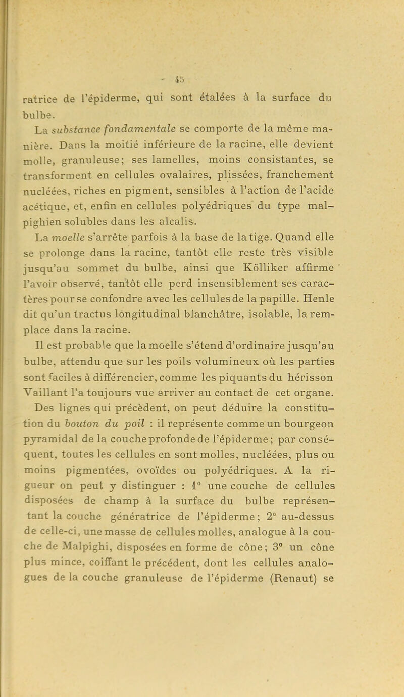 ratrice de l'épiderme, qui sont étalées à la surface du bulbe. La substance fondamentale se comporte de la même ma- nière. Dans la moitié inférieure de la racine, elle devient molle, granuleuse; ses lamelles, moins consistantes, se transforment en cellules ovalaires, plissées, franchement nucléées, riches en pigment, sensibles à l'action de l'acide acétique, et, enfin en cellules polyédriques du type mal- pighien solubles dans les alcalis. La moe/Ze s'arrête parfois à la base de latige. Quand elle se prolonge dans la racine, tantôt elle reste très visible jusqu'au sommet du bulbe, ainsi que Kôlliker affirme l'avoir observé, tantôt elle perd insensiblement ses carac- tères pour se confondre avec les cellules de la papille. Henle dit qu'un tractus longitudinal blanchâtre, isolable, la rem- place dans la racine. Il est probable que la moelle s'étend d'ordinaire jusqu'au bulbe, attendu que sur les poils volumineux où les parties sont faciles à difi'érencier, comme les piquants du hérisson Vaillant l'a toujours vue arriver au contact de cet organe. Des lignes qui précèdent, on peut déduire la constitu- tion du bouton du poil : il représente comme un bourgeon pyramidal de la couche profonde de l'épiderme; par consé- quent, toutes les cellules en sont molles, nucléées, plus ou moins pigmentées, ovoïdes ou polyédriques. A la ri- gueur on peut y distinguer : 1° une couche de cellules disposées de champ à la surface du bulbe représen- tant la couche génératrice de l'épiderme; 2° au-dessus de celle-ci, une masse de cellules molles, analogue à la cou- che de Malpighi, disposées en forme de cône; 3° un cône plus mince, coiffant le précédent, dont les cellules analo- gues de la couche granuleuse de l'épiderme (Reuaut) se