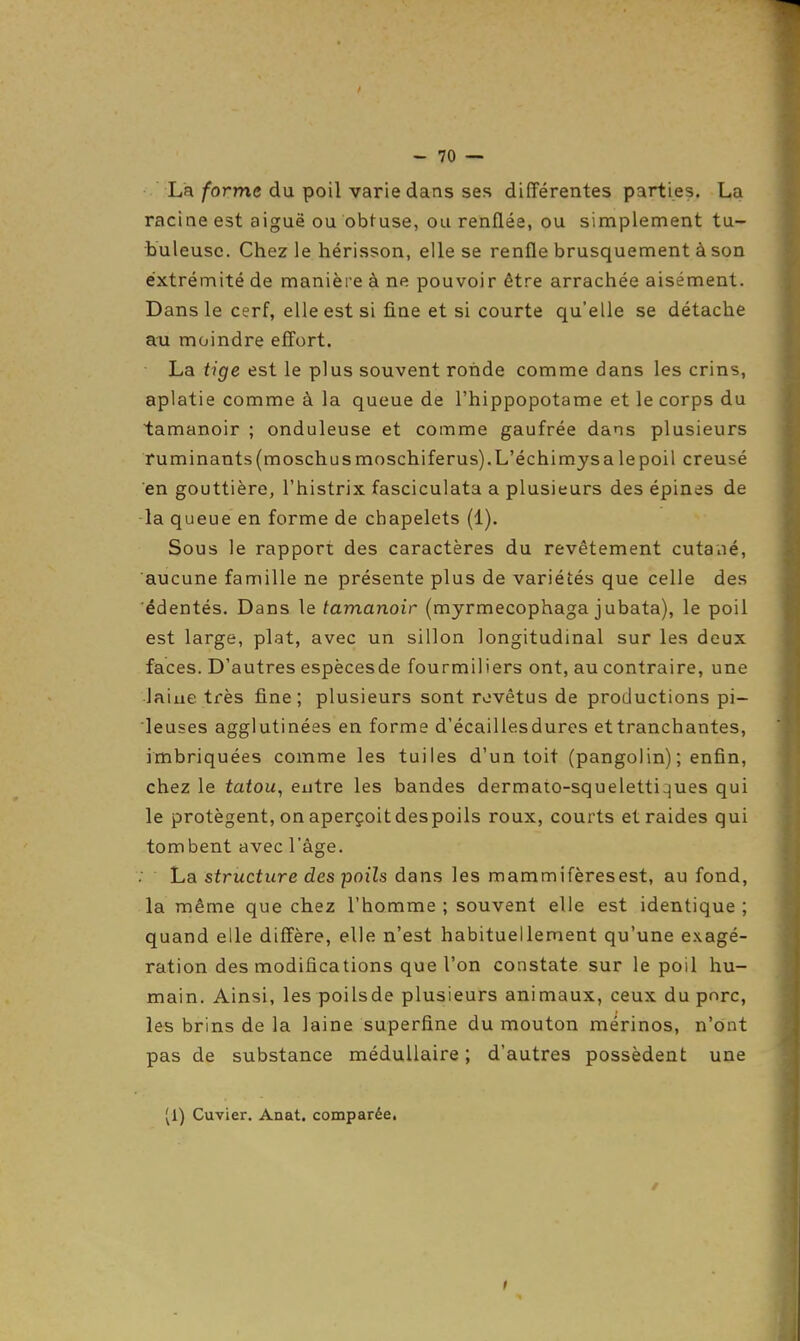  La forme du poil varie dans ses différentes parties. La racine est aiguë ou obtuse, ou renflée, ou simplement tu- buleuse. Chez le hérisson, elle se renfle brusquement à son extrémité de manière à ne pouvoir être arrachée aisément. Dans le cerf, elle est si fine et si courte qu'elle se détache nu moindre effort. La tige est le plus souvent ronde comme dans les crins, aplatie comme à la queue de l'hippopotame et le corps du tamanoir ; onduleuse et comme gaufrée dans plusieurs ruminants (moschus moschiferus).L'échimys a le poil creusé en gouttière, l'histrix fasciculata a plusieurs des épines de -la queue en forme de chapelets (1). Sous le rapport des caractères du revêtement cutané, aucune famille ne présente plus de variétés que celle des édentés. Dans le tamanoir (myrmecophaga jubata), le poil est large, plat, avec un sillon longitudinal sur les deux faces. D'autres espècesde fourmiliers ont, au contraire, une •laine très fine; plusieurs sont rovêtus de productions pi- leuses agglutinées en forme d'écaillesdures et tranchantes, imbriquées comme les tuiles d'un toit (pangolin) ; enfin, chez le tafou, entre les bandes dermato-squelettiques qui le protègent, on aperçoit despoils roux, courts et raides qui tombent avec l'âge. La structure des poils dans les mammifèresest, au fond, la même que chez l'homme ; souvent elle est identique; quand elle diffère, elle n'est habituellement qu'une e.xagé- ration des modifications que l'on constate sur le poil hu- main. Ainsi, les poilsde plusieurs animaux, ceux du porc, les brins de la laine superfine du mouton mérinos, n'ont pas de substance médullaire; d'autres possèdent une (1) Cuvier. Aaat. comparée.