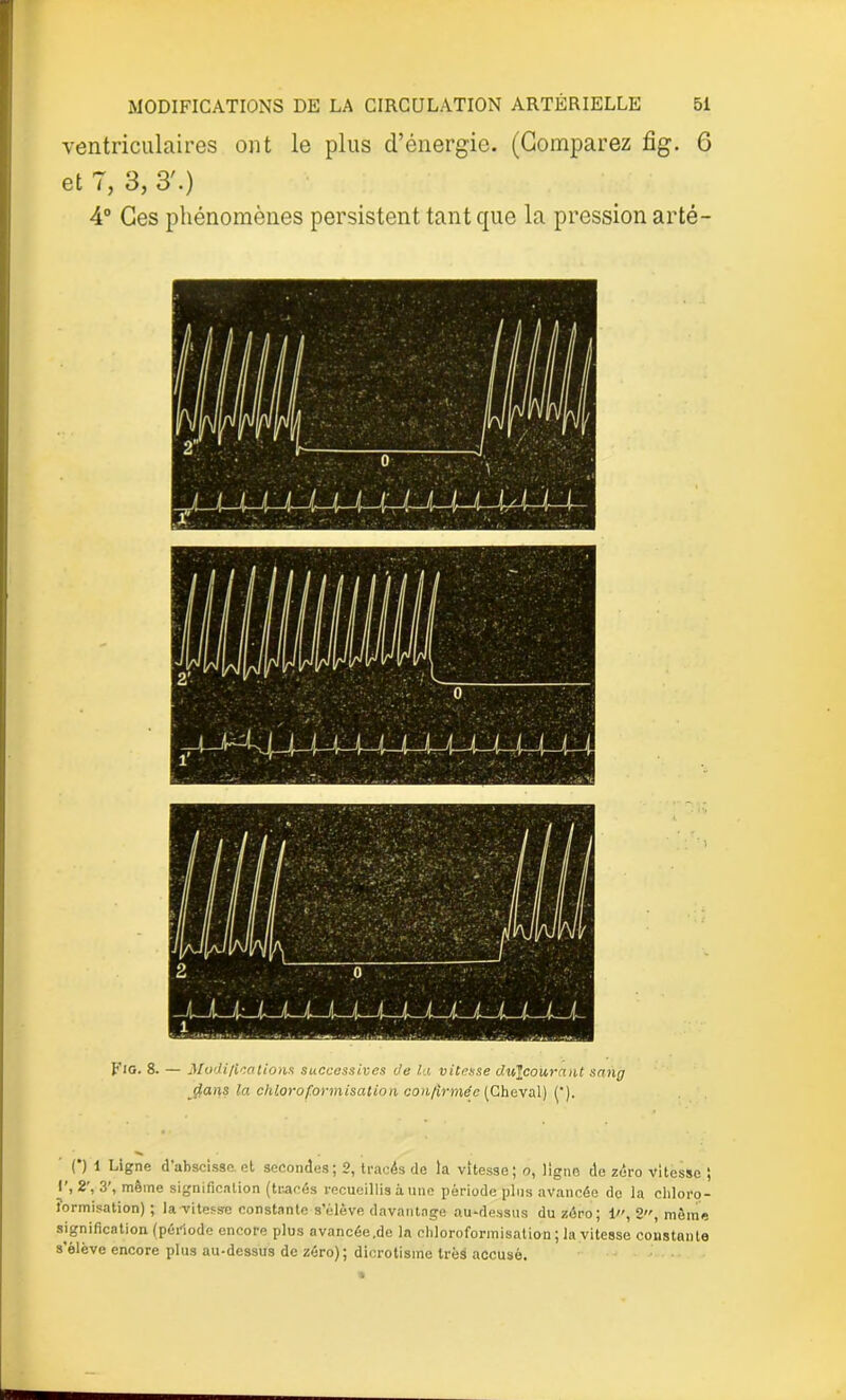 ventriculaires ont le plus d’énergie. (Comparez fig. 6 et 7, 3, 3'.) 4° Ces phénomènes persistent tant que la pression arté- Fig. 8. — Modifications successives Ce la vitesse dujcourant sailg tfans la chloroformisation confirmée [Cheval) (’). ()1 Ligne d abscisse, et secondes; 2, tracés de la vitesse ; o, ligne de zéro vitesse ; i', 2’, 3', même signification (tracés recueillis à une période plus avancée de la chloro- formisation) ; la vitesse constante s’élève davantage au-dessus du zéro; 1, 2, même signification (période encore plus avancée.de la chloroformisation ; la vitesse constante s’élève encore plus au-dessus de zéro); dicrotisme très accusé.