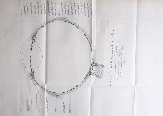 digitised image 1