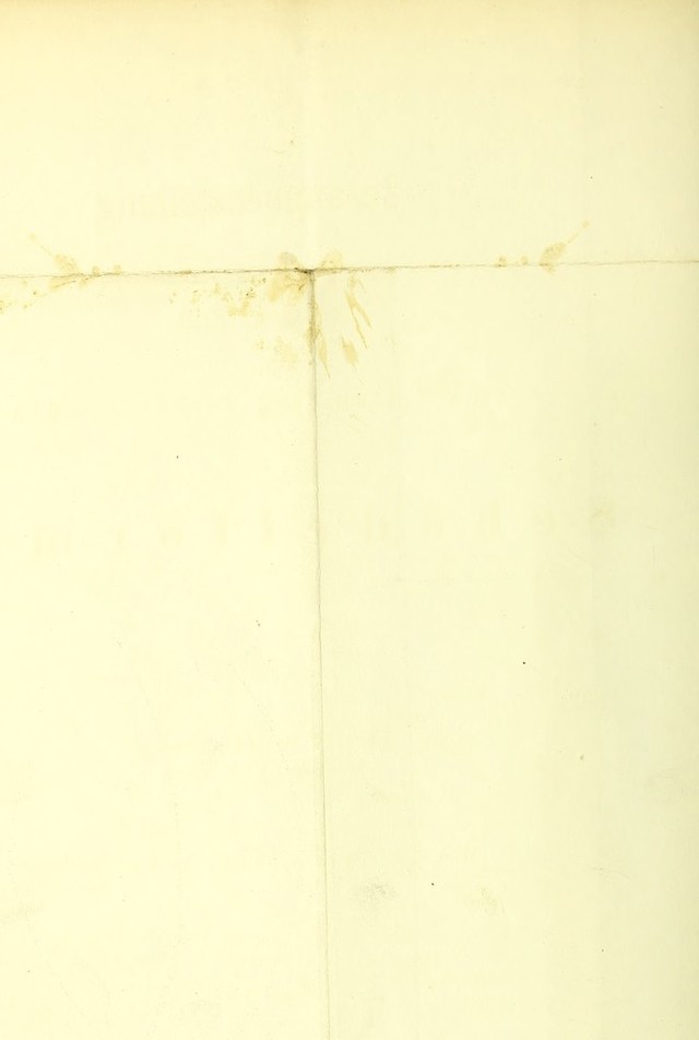 digitised image 2