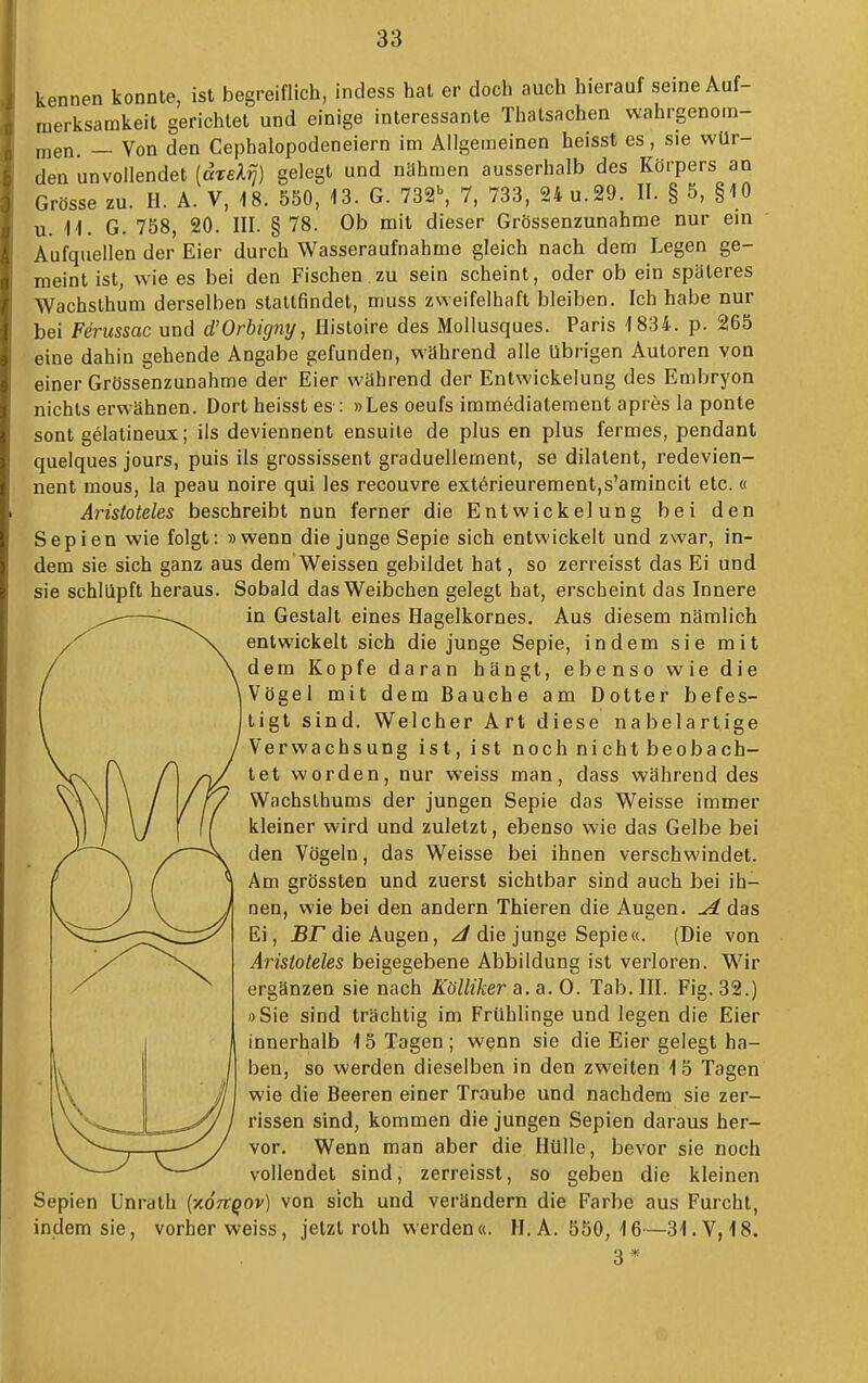 kennen konnte, ist begreiflich, indess hat er doch auch hierauf seine Auf- merksamkeit gerichtet und einige interessante Thatsachen wahrgenom- njen. — Von den Cephalopodeneiern im Allgemeinen heisst es, sie wür- den unvollendet (atsX^) gelegt und nähmen ausserhalb des Körpers an Grösse zu. H. A. V, 18. 550, 13. G. 732\ 7, 733, 24 u.29. II. § 5, §10 u. 11. G. 758, 20. III. § 78. Ob mit dieser Grössenzunahrae nur ein Aufquellen der Eier durch Wasseraufnahme gleich nach dem Legen ge- meint ist, wie es bei den Fischen zu sein scheint, oder ob ein späteres Wachsthum derselben stattfindet, muss zweifelhaft bleiben. Ich habe nur bei Ferussac und d'Orbigny, Histoire des Mollusques. Paris 1834. p. 265 eine dahin gehende Angabe gefunden, während alle übrigen Autoren von einer Grössenzunahme der Eier während der Entwickelung des Embryon nichts erwähnen. Dort heisst es : »Les oeufs immediatement apres la ponte sont gelatineux; ils deviennent ensuile de plus en plus fermes, pendant quelques jours, puis ils grossissent graduellement, se dilatent, redevien- nent mous, la peau noire qui les recouvre exterieurement,s'amincit etc.« Aristoteles beschreibt nun ferner die Entwickelung bei den Sepien wie folgt: »wenn die junge Sepie sich entwickelt und zwar, in- dem sie sich ganz aus dem Weissen gebildet hat, so zerreisst das Ei und sie schlüpft heraus. Sobald das Weibchen gelegt hat, erscheint das Innere in Gestalt eines Hagelkornes. Aus diesem nämlich entwickelt sich die junge Sepie, indem sie mit dem Kopfe daran hängt, ebenso wie die Vögel mit dem Bauche am Dotter befes- tigt sind. Welcher Art diese nabelartige Verwachsung ist, ist noch nicht beobach- tet worden, nur weiss man, dass während des Wachslhums der jungen Sepie das Weisse immer kleiner wird und zuletzt, ebenso wie das Gelbe bei den Vögeln, das Weisse bei ihnen verschwindet. Am grössten und zuerst sichtbar sind auch bei ih- nen, wie bei den andern Thieren die Augen. das Ei, jBjT die Augen, ^ die junge Sepie«. (Die von Aristoteles beigegebene Abbildung ist verloren. W^ir ergänzen sie nach Kölliker a. a. 0. Tab. III. Fig. 32.) »Sie sind trächtig im Frühlinge und legen die Eier innerhalb 15 Tagen; wenn sie die Eier gelegt ha- ben, so werden dieselben in den zweiten 15 Tagen wie die Beeren einer Traube und nachdem sie zer- rissen sind, kommen die jungen Sepien daraus her- vor. Wenn man aber die Hülle, bevor sie noch vollendet sind, zerreisst, so geben die kleinen Sepien ünrath {ytOTtQOv) von sich und verändern die Farbe aus Furcht, indem sie, vorher weiss, jetzt rolh werden«. H.A. 550, 16—31, 3* V,18.