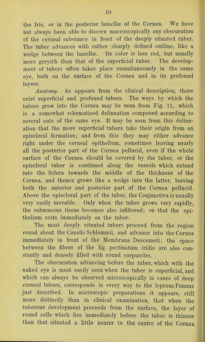 the Iris, or in the posterior lamellae of the Cornea. We have not always been able to discern macroscopically any obscuration of the corneal substance in front of the deeply situated tuber. The tuber advances with rather sharply defined ontline, like a wedge between the lamellae. Its color is less red, but usually more greyish than that of the superficial tuber. The develop- ment of tubers often takes place sumultaneously in the same eye, both on the surface of the Cornea and in its profound layers. Anatomy. As appears from the clinical description, there exist superficial and profound tubers. The ways by which the tubers grow into the Cornea may be seen from Fig. 11, which is a somewhat schematised delineation composed according to several cuts of the same eye. It may be seen from this deline- ation that the more superficial tubers take their origin from an episcleral formation; and from this they may either advance right under the corneal epithelium, sometimes leaving nearly all the posterior part of the Cornea pellucid, even if the whole surface of the Cornea should be covered by the tuber, or the episcleral tuber is continued along the vessels which extend into the Sclera towards the middle of the thickness of the Cornea, and thence grows like a wedge into the latter, leaving both the anterior and posterior part of the Cornea pellucid. Above the episcleral part of the tuber, the Conjunctiva is usually very easily movable. Only when the tuber grows very rapidly, the submucous tissue becomes also infiltered; so that the epi- thelium rests immediately on the tuber. The most deeply situated tubers proceed from the region round about the Canalis Schlemmii, and advance into the Cornea immediately in front of the Membrana Descemeti; the space between the fibres of the lig. pectinatum iridis are also con- stantly and densely filled with round corpuscles. The obscuration advancing before the tuber, which with the naked eye is most easily seen when the tuber is superficial, and which can always be observed microscopically in cases of deep corneal tubers, corresponds in every way to the leprous Pannus just described. In microscopic preparations it appears, still more distinctly than in clinical examination, that when the tuberous development proceeds from the surface, the layer of round cells which lies immediately before the tuber is thinner than that situated a little nearer to the centre of the Cornea