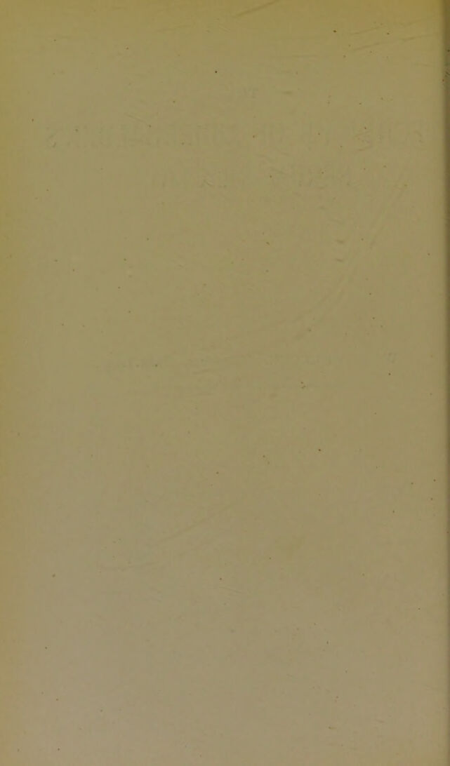 digitised image 2
