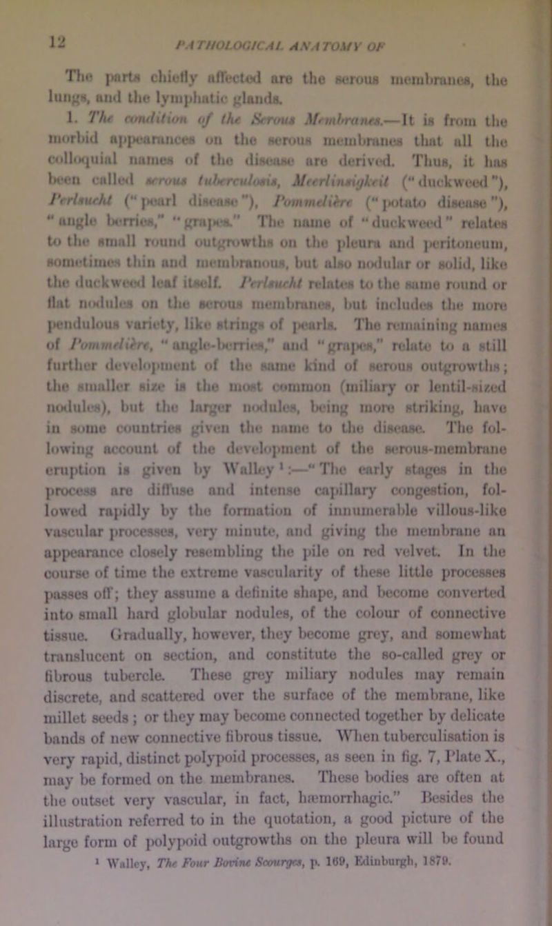 PAT/iOUXitCAi. AS ATOM V OF Tlif chiefly afTecUxl are the seroua iiieiuhranoa, the lun^a, and the lymphatic I'landa. 1. Ttu comiition of the Senm* Mnnhrane».— \t ia fr<im the morbid ap{x«aruiie«a on the aerouN membranua that all the e4dl(N|uial naiiioa of the diaeaae are derived. Thua, it haa In'cn cnlle<l aerou* tultercuJutis, AlferlinMijkfit (“ duckwee<l), J‘rrUueJU (“ |Kjurl diai^tiao **), J*utnmeJihe (** jiotato diaeaae),  an}{le berriea, **{;rH|M*a. Tlie name of “duckwetHl relatea to the anmll round out^rowtha on the pleura »md |>entoneum, aometimea thin and membranoiui, but alau nfalular or aolid, like the duckwetal leaf itaelf. Verleucht relatea to the aamo r<iund or flat mxluhis on the aeroua menibrum>a, but iiududea tlie more }»enduluua variety, like strinpt of |K*arla. The remaining namea of Pummflihra, ** iingle-lK.Tri<«and “gni|Kt8, relaUf to a alill further development of the aame kind of aereua outgrewtlia; the smaller aixe is the moat common (milmry or Icntibaired nodulea), but the larger nodulea, being more atriking, have in some countries given the name to the diaeaaii. The fol« lowing account of the development of the aeroua-membrane eruption is given by Walh^y *:— The (•arly atogea in the proceaa are diflfuac ond intense capillary congestion, fol- lowed rapidly by the formation of innumerable villoua-like vascular procesaea, very minute, and giving the membrane an appearance closely restunbling the pile on red velvet. In the course of time the extreme vascularity of tliese little procesaes jaisacs ofl’; they assume a definite shape, and become cf)nverted into small hard globular nodules, of the colour of connective ti.s8ue. (Jnulually, however, they become grey, and somewhat translucent on section, and constitute the so-called grey or fibrous tubercle. These grey miliary nodules may remain discrete, and scattered over the surface of the membrane, like millet seeds ; or they may l)ecome connected together by delicate bands of new connective fibrous tissue. \\Hien tuberculisation is very rapid, distinct polypoid processes, ns seen in fig. 7, Tlate X., may be formed on the membranes. Tlieso bodies are often at tlie outset very vascular, in fact, hromorrhagic.” Besides the illustration referred to in the quotation, a good picture of the large form of |K)lypoid outgrowths on the pleura will be found * Walley, The Four Bovine Scourges, p. 169, Edinburgh, 1879.