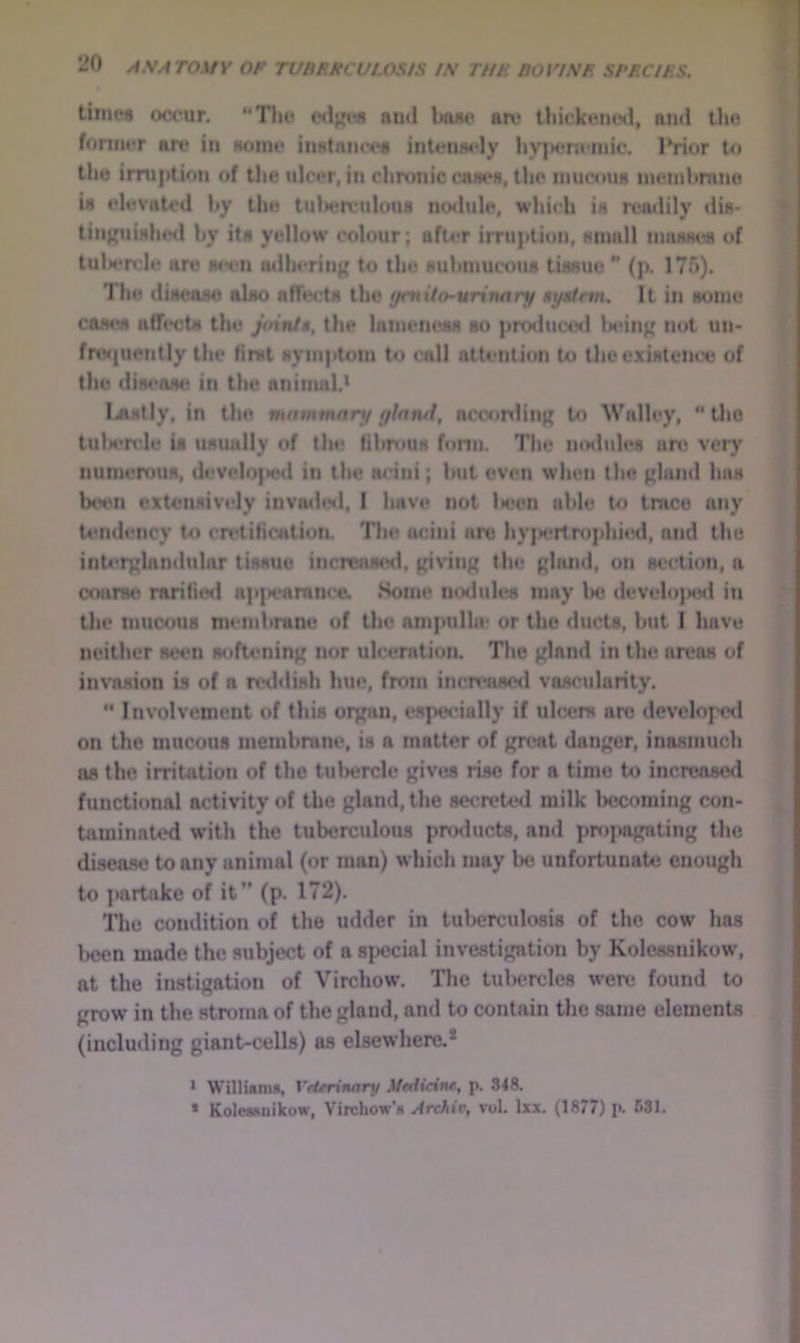 time* occur. “Tlio ami baac are thickeiunl, and the former are in Home iiiatumx^ intemady hy]K?nfinic. IViur to the imiption of the ulcer, in chronic caae«, the inucima memhmne U elevated hy the tulierculouB nodule, which ia reailily «lis- tiii}(uialuHl hy ita yellow colour; after irruption, Kinall muaHi« of tulMTcle are mvii tulherin^' to the Huhinucoiia tiaKue  (p. 175). The diaeaae alao afTt*cta the tjmUo-urinary »y»tnn. It in some caaea alTecta the jmntt, the laiiicneaa so produce*! lM*inj( not un- frwjuently the firet syiiiptoin to call attention to theexiatence of the diaeaae in the animal.' Ijtatly, in the mammary ylatul, acccmliiiK to Walley, “ tl>o tuliercle ia uaimlly of the tihruuH ftirm. The nmlulea art* very iiumertma, develo|MHl in the ai’ini; hut even when the {(land haa been extcnaiv**ly invadtinl, I have not l»een able to trace any U’mhuicy to cretiHcation. Tlie acini are hyi)ertr<»phi«Hl, and the inU'rxlandular tiaaue increaiMHl, {(iviu{( the {(land, on section, a otmrae raritii**! ap|H*amnce. Some mxlulea may be develo]>ed iti the mucous membrane of the ampulhe or the ducts, but I have neither seen s*tfi*min{( nor ulceration. The {(land in the areas of invasion is of a nnlftish hue, from increased vascularity. ** Involvement of this oryjin, especially if ulcers arc dcvelope*! on the mucous merabnine, is a matter of {(real dati{(er, inasmuch as the irritation of the tul>ercle gives rise for a time to increased functional activity of the gland, the secreted milk becoming con- taminated with the tuberculous pnslucts, and pn)pagnting the disease to any animal (or man) which may be unfortunate enough to ])artnke of it” (p. 172). The condition of the udder in tuberculosis of the cow has iHjen made the subject of a special investi{(ntion by Kolessnikow, at the instigation of Virchow. The tulxjrcles were found to grow in the stroma of the gland, and to contain the same elements (including giant-cells) as elsewhere.* * Willianm, Vrirrinary .Vedicine, p. 348. • Kolessnikow, Virchow’s Archiv, rol. Ixx. (1877) p. Ml.