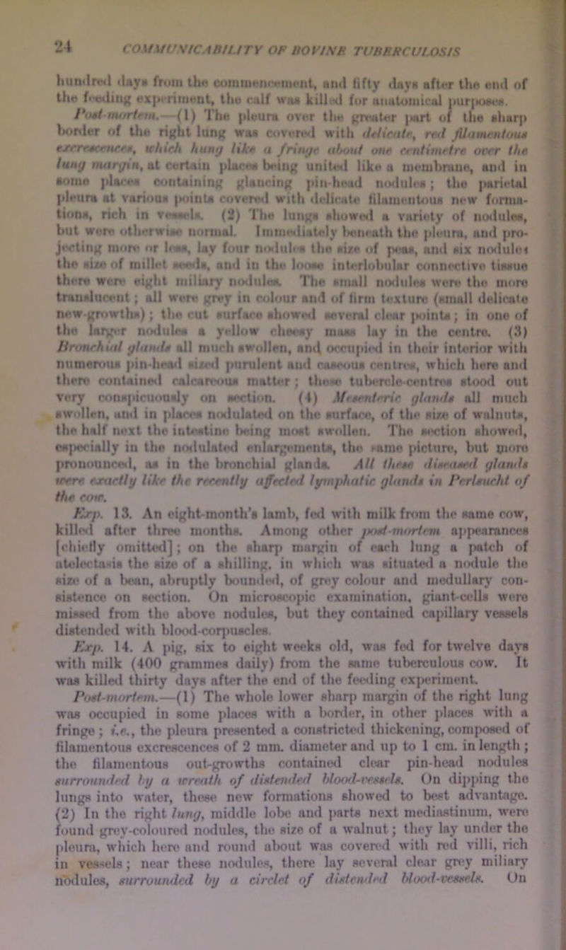 )iuii«lrrtl lUjrv from iho comiimii<'<«mc>iit, nml Hfty day* afUT the end of the fixMliu^ ox|»«'riimmt, the calf wax killtxl for anutoiuicai |iur{»oik^. /‘tml nu/rtnn.— (1) The pleura over the jjnmter |Mirt of the aharp l>or«ler of the right lung wax covere*! with iMtcatr, rf<l fUamriilotui exerrseruees, tehtfh huntj like o /mt^e uImhI one rrnlimrfre ucrr the lutif/ morj/iN, at certain phtcea lading unit«<l like a meiiihnme, ami in •ome ploceii containing glancing pin-head n<Mlulea; the parietal pleura at varioua |Miinla cover»«l with delicate lilainetiloua new forma- tiono, nch in ve*aeU. (2) The lunga allowed a variety of nodulee, hut were otherwioii lionuoL Inmietltately tielieath the pleimt, and pro- jecting more or hwa, lay four mxltih** the aire of fxaui, and «ix ikmIuIoi the aize of millet oeoda, and in the lonoe interlobular conm*ctive tiiwue there were eight miliary iiodulea. The mnall nodiilea wen* the moro tranaluc4*nt; all wen* grey in colour and of linn texture (amall deliraito new-gniwtlia); the cut aurfoce ahow«*<l oeveral clear |KiinU; in one of the Urg*'r nodiilea a yellow cheeay mooM lay in the centre. (3) linmrhinl glnmis all much awollen, amf occupie<i in their inlx*rior with numemua pin-luaul mjce«l purulent and coMynia centnw, which hem and them contained calnan-oua matt4*r; thew tulH*rcIo-centn*a atoo<l out Very ronapiciioualy on oection. (4) J/ram/rnV glomh all much awi>llen, aiul in plocea n(Mlulat«<l on the ourfoi’e, of the si/e of walniita, the half next the inteatino being moat awollen. The o<*ction allowed, ca{>ecially in the notlulatinl enlargemento, the ^ame pictum, but pmro pnmounceil, oa in the bnmchial glando. All fheee tliaeaeed glawh were ejntrlly like the reeenily afeeletl lyntfthalie glamU in /‘rrUueht of the row, Kxp. 13. An eight-month's lamb, fed with milk fmm the same cow, kille«l aft4*r three* months. Among oUier jxml-nufrlmi a]i|>enninc4fa (chiefly ornittiHl]; on the ahaqi margin of each lung a patch of nt<dccta*«is the size of a ahilling, in which was situated a mnlule tho si»* of a b«>«n, abruptly boumb*<l, of grey colour and medullary con- sisU'nco on section. On microscopic examination, giant-cells were miKiH>il from tho alxive nodules, but they contained capillary vessels distendeil with blootl-corjmscles. Kxp. 14. A pig, six to eight weeks old, was fed for twelve days with milk (400 grammes daily) from the same tuberculous cow. It was killed thirty days after the end of tho fee<ling exjieriment. Poel-mortrm.—(1) The whole lower sharp margin of tho right lung was occupied in some places with a border, in other places w’ith a fringe ; i.e., the pleura pmsente<l a constricted thickening, composed of filamentous excrescences of 2 mm. diameter and up to 1 cm. in length ; the filamentous out-growths contaimHl clear pin-head iumIuIcs gnrrounilrd hy a wreath of (tUteiulrd l>lo<t<la'rg$rle. On dijiping tho lunga into water, these new formations showed to best advantage. (2) In the right lung, middle lobe and parts next mediastinum, w'ere found grey-coloured nodules, tho size of a walnut; they lay under tho [iloura, which here an<I rouml aliout was coven*d with nnl villi, rich in vessels; near these nodules, there lay several clear grey miliary nodules, snrroumicd by a cirrlrt of ilielctvh’tl Nood-vrwele. On