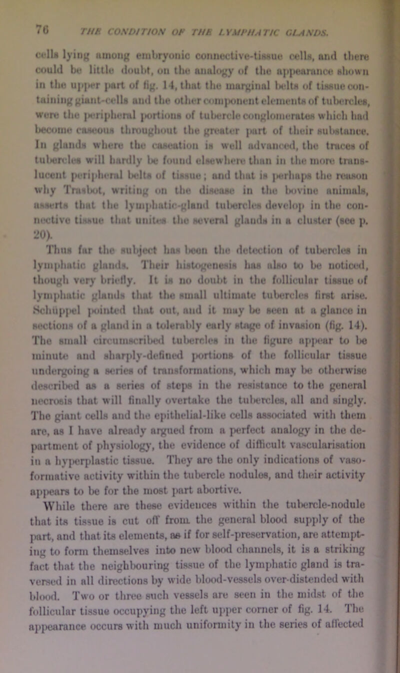 70 celU lying among embryonic connective-tiiwue cella, and there could be Utile doubt, on the analogy of the a]>)>earance ahown in the upiier part of fig. 14, that the marginal India of ti88uecon> taininggiaiit'CelU and the other com|>onent elementa of tulx^rclea, wore the |N*ripheral {Kjrtions of tubercle conglomeratoH which had become caaeoua throughout the greater part of their aubHlance. In glanda where the caiieutiun ia well advanced, the tracea of tulwndes will hartily be found elaew here than in the more trana- lucont peripheral Ixdta of tiaauu*, and that ia iHfriiapa the reaaon why Tranliol, writing on the diaeaae in the laivine animala, aaaerta that the lymphatic-gland tulieitdea develop in the con- nective tinaue that unit4«a the aevernl glanila in a cluater (ace p. 20). Tima far the aubject haa Ikmiu the detection of tul»errlea in lymphatic glands. Their hiatogeneaia haa aUo to be nolictMl, though very briefly. It ia no doubt in the follicular tisaue of lymphatic glands that the small ultimate tubt^rclea first ariae. Schup{>el }KiiuU*d that out, and it may be seen at a glanco in aections of a gland in a tolerably t^rly stage of invaaion (fig. 14). The amall circumscribed tulx;rcle8 in the figure? ap|K>ar to l>o luinuti? and aharply-definiHi jiortions of the follicular tissue undergoing a series of transfonnations, which may Ikj otherwise descrilH^d as a scries of stci>s in the n-sistance to the general necrosis that will finally overtake the tulHjrcles, all and singly. The giant cells and the epithelial-like cells associated with them are, as I have already argue«l from a perfect analogy in the de- partment of physiolog)', the evidence of difficult vaHcularisation ill a hypridastic tissue. They are the only indications of vaso- formative activity within the tubercle no<iulo8, and their activity aj)|)ear8 to be for the most ])art abortive. While there are these evidences within the tulxjrcle-nodule that its tissue is cut ofT from the general blood supjily of the part, and that its elements, as if for self-preservation, are attempt- ing to form themselves into new blood channels, it is a striking fact that the neigh 1k)Uring tissue of the lymphatic gland is tra- versed in all directions by wide blood-vessels over-distended with hhwd. Two or three such vessels are seen in the midst of the follicular tissue occupying the left ujtper comer of fig. 14. The api>earance occurs with much unifonnily in the series of affected