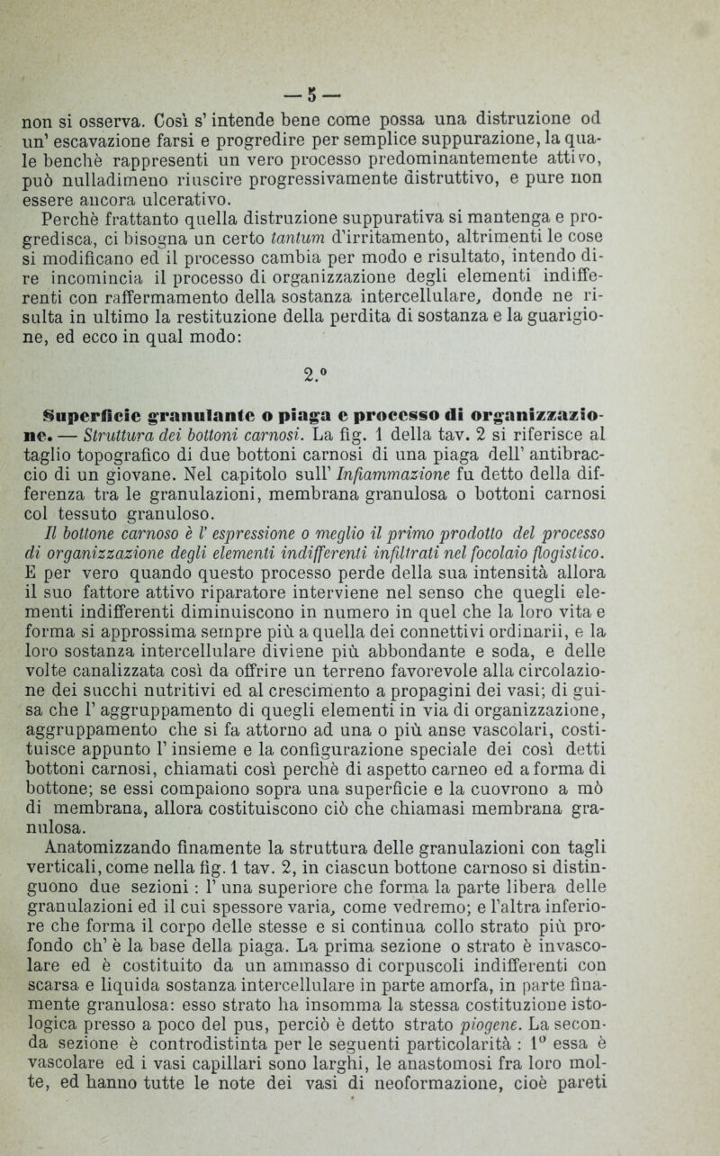 non si osserva. Così s’intende bene come possa una distruzione od un’ escavazione farsi e progredire per semplice suppurazione, la qua- le benché rappresenti un vero processo predominantemente attivo, può nulladimeno riuscire progressivamente distruttivo, e pure non essere ancora ulcerativo. Perchè frattanto quella distruzione suppurativa si mantenga e pro- gredisca, ci bisogna un certo tantum d’irritamento, altrimenti le cose si modificano ed il processo cambia per modo e risultato, intendo di- re incomincia il processo di organizzazione degli elementi indiffe- renti con raffermamento della sostanza intercellulare, donde ne ri- sulta in ultimo la restituzione della perdita di sostanza e la guarigio- ne, ed ecco in qual modo: 2.° Superficie granulante o piaga e processo di organizzazio- ne. — Struttura dei bottoni carnosi. La fìg. 1 della tav. 2 si riferisce al taglio topografico di due bottoni carnosi di una piaga dell’ antibrac- cio di un giovane. Nel capitolo sull’ Infiammazione fu detto della dif- ferenza tra le granulazioni, membrana granulosa o bottoni carnosi col tessuto granuloso. Il bottone carnoso e V espressione o meglio il primo prodotto del processo di organizzazione degli elementi indifferenti infiltrati nel focolaio flogistico. E per vero quando questo processo perde della sua intensità allora il suo fattore attivo riparatore interviene nel senso che quegli ele- menti indifferenti diminuiscono in numero in quel che la loro vita e forma si approssima sempre più a quella dei connettivi ordinarii, e la loro sostanza intercellulare diviene più abbondante e soda, e delle volte canalizzata così da offrire un terreno favorevole alla circolazio- ne dei succhi nutritivi ed al crescimento a propagini dei vasi; di gui- sa che P aggruppamento di quegli elementi in via di organizzazione, aggruppamento che si fa attorno ad una o più anse vascolari, costi- tuisce appunto l’insieme e la configurazione speciale dei così detti bottoni carnosi, chiamati così perchè di aspetto carneo ed a forma di bottone; se essi compaiono sopra una superfìcie e la cuovrono a mò di membrana, allora costituiscono ciò che chiamasi membrana gra- nulosa. Anatomizzando finamente la struttura delle granulazioni con tagli verticali, come nella fìg. 1 tav. 2, in ciascun bottone carnoso si distin- guono due sezioni : 1’ una superiore che forma la parte libera delle granulazioni ed il cui spessore varia, come vedremo; e l’altra inferio- re che forma il corpo delle stesse e si continua collo strato più pro- fondo eh’ è la base della piaga. La prima sezione o strato è invasco- lare ed è costituito da un ammasso di corpuscoli indifferenti con scarsa e liquida sostanza intercellulare in parte amorfa, in parte fina- mente granulosa: esso strato ha insomma la stessa costituzione isto- logica presso a poco del pus, perciò è detto strato piogene. La secon- da sezione è controdistinta per le seguenti particolarità : 1° essa è vascolare ed i vasi capillari sono larghi, le anastomosi fra loro mol- te, ed hanno tutte le note dei vasi di neoformazione, cioè pareti