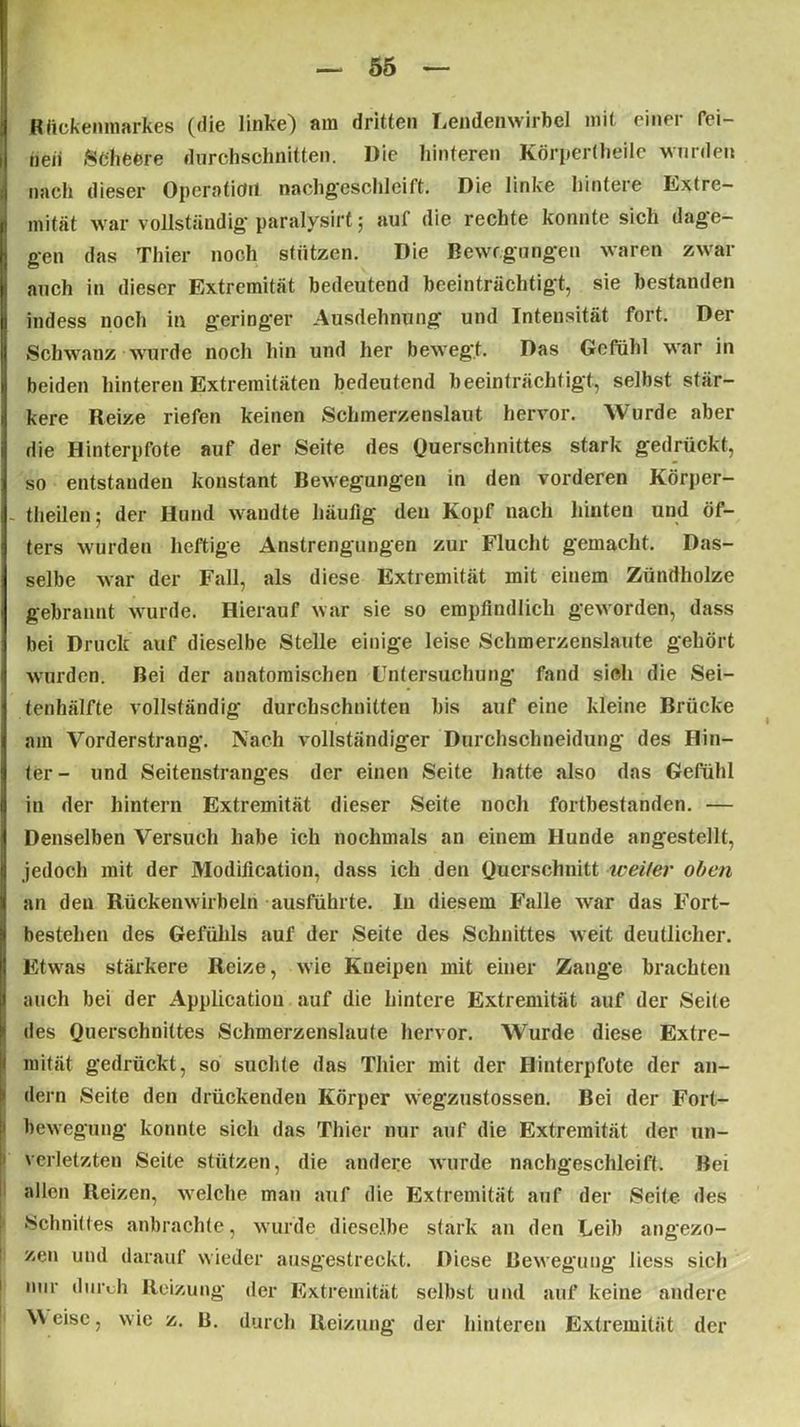 Rückenmarkes (die linke) am dritten Lendenwirbel mit einer fei- nen Sc beere durchschnitten. Die hinteren Körpertheile wurden nach dieser Operation nachgeschleift. Die linke hintere Extre- mität war vollständig* paralysirt; auf die rechte konnte sich dage- gen das Thier noch stützen. Die Bewegungen waren zwar auch in dieser Extremität bedeutend beeinträchtigt, sie bestanden indess noch in geringer Ausdehnung und Intensität fort. Der Schwanz wurde noch hin und her bewegt. Das Gefühl war in beiden hinteren Extremitäten bedeutend beeinträchtigt, selbst stär- kere Reize riefen keinen Schmerzenslaut hervor. Wurde aber die Hinterpfote auf der Seite des Querschnittes stark gedrückt, so entstanden konstant Bewegungen in den vorderen Körper- - theilen; der Hund wandte häufig den Kopf nach hinten und öf- ters wurden heftige Anstrengungen zur Flucht gemacht. Das- selbe war der Fall, als diese Extremität mit einem Zündholze gebrannt wurde. Hierauf war sie so empfindlich geworden, dass bei Druck auf dieselbe Stelle einige leise Schmerzenslaute gehört wurden. Bei der anatomischen Untersuchung fand sich die Sei- tenhälfte vollständig durchschnitten bis auf eine kleine Brücke am Vorderstrang. Nach vollständiger Durchschneidung des Hin- ter- und Seitenstranges der einen Seite hatte also das Gefühl in der hintern Extremität dieser Seite noch fortbestanden. — Denselben Versuch habe ich nochmals an einem Hunde angestellt, jedoch mit der Modification, dass ich den Querschnitt weiter oben an den Rückenwirbeln ausführte. In diesem Falle war das Fort- bestehen des Gefühls auf der Seite des Schnittes weit deutlicher. Etwas stärkere Reize, wie Kneipen mit einer Zange brachten auch bei der Application auf die hintere Extremität auf der Seite des Querschnittes Schmerzenslaute hervor. Wrurde diese Extre- mität gedrückt, so suchte das Thier mit der Hinterpfote der an- dern Seite den drückenden Körper wegzustossen. Bei der Fort- bewegung konnte sich das Thier nur auf die Extremität der un- verletzten Seite stützen, die andere wurde nachgeschleift. Bei allen Reizen, welche man auf die Extremität auf der Seite des Schnittes anbrachte, wurde dieselbe stark an den Leib angezo- zen und darauf wieder ausgestreckt. Diese Bewegung liess sich mir durch Reizung der Extremität selbst und auf keine andere W eise, wie z. B. durch Reizung der hinteren Extremität der