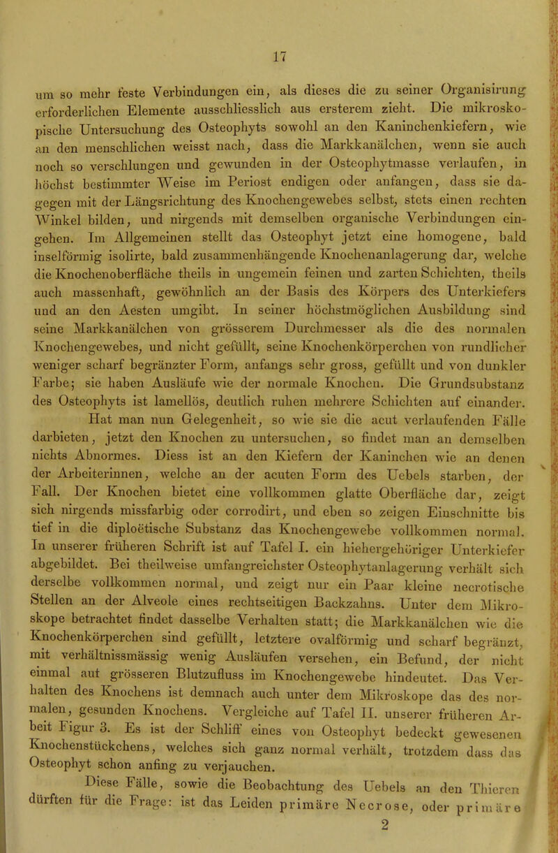 um so mehr teste Verbindungen ein, als dieses die zu seiner Organisirung erforderlichen Elemente ausschliesslich aus ersterem zieht. Die mikrosko- pische Untersuchung des Osteophyts sowohl an den Kaninchenkiefern, wie an den menschlichen weisst nach, dass die Markkanälchen, wenn sie auch noch so verschlungen und gewunden in der Osteophytmasse verlaufen, in höchst bestimmter Weise im Periost endigen oder anfangen, dass sie da- gegen mit der Längsrichtung des Knochengewebes selbst, stets einen rechten Winkel bilden, und nirgends mit demselben organische Verbindungen ein- gehen. Im Allgemeinen stellt das Osteophyt jetzt eine homogene, bald inselförmig isolirte, bald zusammenhängende Knochenanlagerung dar, welche die Knochenoberfläche theils in ungemein feinen und zarten Schichten, theils auch massenhaft, gewöhnlich an der Basis des Körpers des Unterkiefers und an den Aesten umgibt. In seiner höchstmöglichen Ausbildung sind seine Markkanälchen von grösserem Durchmesser als die des normalen Knochengewebes, und nicht gefüllt, seine Knochenkörperchen von rundlicher weniger scharf begränzter Form, anfangs sehr gross, gefüllt und von dunkler Farbe; sie haben Ausläufe wie der normale Knochen. Die Grundsubstanz des Osteophyts ist lamellös, deutlich ruhen mehrere Schichten auf einander. Hat man nun Gelegenheit, so wie sie die acut verlaufenden Fälle darbieten, jetzt den Knochen zu untersuchen, so findet man an demselben nichts Abnormes. Diess ist an den Kiefern der Kaninchen wie an denen der Arbeiterinnen, welche an der acuten Form des Uebels starben, der Fall. Der Knochen bietet eine vollkommen glatte Oberfläche dar, zeigt sich nirgends missfarbig oder corrodirt, und eben so zeigen Einschnitte bis tief in die diploetische Substanz das Knochengewebe vollkommen normal. In unserer fiüheren Schrift ist auf Tafel I. ein hiehcrg’ehüriger Unterkiefer abgebildet. Bei theilweise umfangreichster Osteophytanlagerung verhält sich derselbe vollkommen normal, und zeigt nur ein Paar kleine necrotische Stellen an der Alveole eines rechtseitigen Backzahns. Unter dem Mikro- skope betrachtet findet dasselbe Verhalten statt; die Markkanälchen wie die Knochenkörperchen sind gefüllt, letztere ovalförmig und scharf begränzt, mit verhältnissmässig wenig Ausläufen versehen, ein Befund, der nicht einmal aut grösseren Blutzufluss im Knochengewebe hindeutet. Das Ver- halten des Knochens ist demnach auch unter dem Mikroskope das des nor- malen, gesunden Knochens. Vergleiche auf Tafel II. unserer früheren Ar- beit Figur 3. Es ist der Schliff eines von Osteophyt bedeckt gewesenen Knochenstückchens, welches sich ganz normal verhält, trotzdem dass das Osteophyt schon anfing zu verjauchen. Diese f alle, sowie die Beobachtung des Uebels an den Thieren dürften für die Frage: ist das Leiden primäre Ne er ose, oder primäre 2 ;iS >; <
