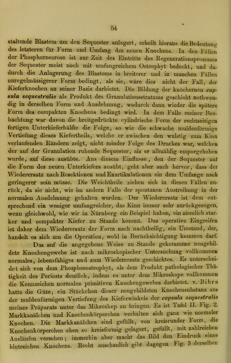 staltende Blastem um den Sequester anlagert, erhellt hieraus die Bedeutung des letzteren für Form und Umfang des neuen Knochens. In den Fällen der Phosphornecrose ist zur Zeit des Eintritts des Regenerationsprozesses der Sequester meist noch mit umfangreichem üsteophyt bedeckt, und da- durch die Anlagerung des Blastems in breiterer und in manchen Fällen unregelmässigerer Form bedingt, als sie, wäre dies nicht der Fall, der Kieferknochen an seiner Basis darbietet. Die Bildung der knöchernen cap- sula sequestralis als Produkt des Granulationsstratums geschieht nothwen- dig in derselben Form und Ausdehnung, wodurch dann wieder die spätere Form des compakten Knochens bedingt wird. In dem Falle meiner Beo- bachtung war davon die breitgedrückte cylindrische Form der rechtseitigen fertigen Unterkieferhälfte die Folge, so wie die schwache muldenförmige Vertiefung dieses Kiefertheils, welche er zwischen den wulstig zum Kinn verlaufenden Rändern zeigt, nicht minder Folge des Druckes war, welchen der auf der Granulation ruhende Sequester, als er allmählig emporgehoben wurde, auf diese ausübte. Aus diesem Einflüsse , den der Sequester aut die Form des neuen Unterkiefers ausübt, geht aber auch hervor, dass der Wiederersatz nach Resektionen und Exartikulationen ein dem Umfange nach geringerer sein müsse. Die Weichtheile ziehen sich in diesen Fällen zu- rück, da sie nicht, wie Im andern Falle der spontanen Austreibung in der normalen Ausdehnung gehalten werden. Der Wiederersatz ist dem ent- sprechend ein weniger umfangreicher, das Kinn immer sehr zurückgezogen, wenn gleichwohl, wie wir in Nürnberg ein Beispiel haben, ein ziemlich star- ker und compakter Kiefer zu Stande kommt. Das operative Eingreifen ist daher dem Wiederersatz der Form nach nachtheilig, ein Umstand, der, handelt es sich um die Operation, wohl in Berücksichtigung kommen darf. Das auf die angegebene Weise zu Stande gekommene neugebil- dete Knochengewebe ist nach mikroskopischer Untersuchung vollkommen normales, lebensfähiges und zum Wiederersatz geschicktes. Es unterschei- det sich von dem Phosphorosteophyt, als dem Produkt pathologischer Ihä- tigkeit des Periosts deutlich, indem es unter dem Mikroskope vollkommen die Kennzeichen normalen primitiven Knochengewebes darbietet, v. Bibra hatte die Güte, ein Stückchen dieser neugebildeten Knochensubstanz aus der muldenförmigen Vertiefung des Kieferwinkels der capsulu sequestrulis meines Präparats unter das Mikroskop zu bringen. Es ist flaiel II. Fig. 2. Markkanälchen und Knochenkörperchen verhalten sich ganz wie normaler Knochen. Die Markkanälchen sind gefüllt, von kreisrunder Form, die Knochenkörperchen .eben so kreisförmig gelagert, gefüllt, mit zahlreichen Ausläufen versehen ; immerhin aber macht das Bild den Eindruck eines blutreichen Knochens. Recht anschaulich gibt dagegen I ig. 3 derselben