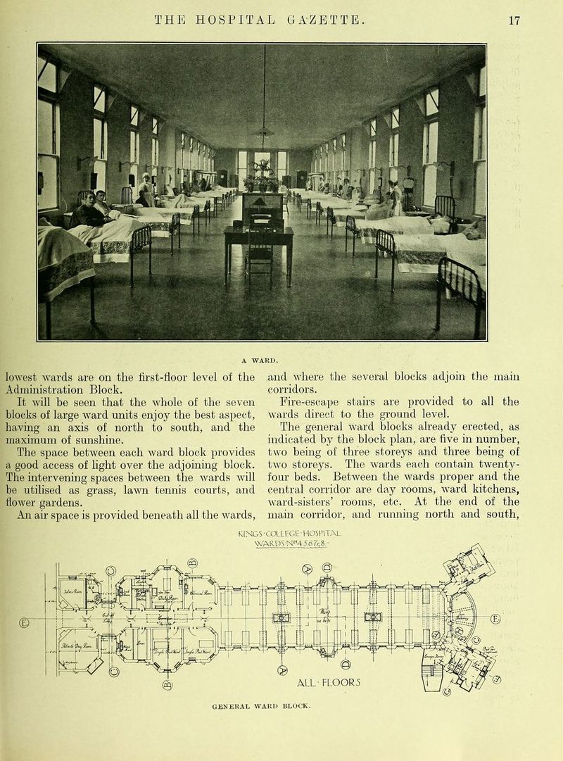 A WARD. lowest wards are on the first-floor level of the Administration Block. It will be seen that the whole of the seven blocks of large ward units enjoy the best aspect, having an axis of north to south, and the maximum of sunshine. The space between each ward block provides a good access of light over the adjoining block. The intervening spaces between the wards will be utilised as grass, lawn tennis courts, and flower gardens. An air space is provided beneath all the wards, and where the several blocks adjoin the main corridors. Fire-escape stairs are provided to all the wards direct to the ground level. The general ward blocks already erected, as indicated by the block plan, are five in number, two being of three storeys and three being of two storeys. The wards each contain twenty- four beds. Between the wards proper and the central corridor are day rooms, ward kitchens, ward-sisters’ rooms, etc. At the end of the main corridor, and running north and south, KINGS ■ COLLEGE - HOSPITAL GENERAL WARD BLOCK.