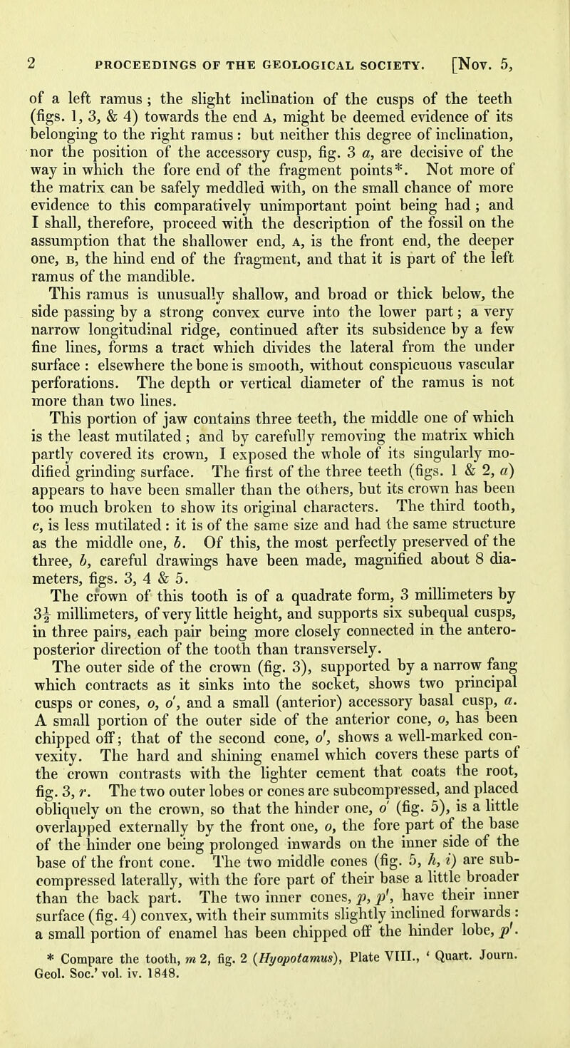 of a left ramus ; the slight inclination of the cusps of the teeth (figs. 1, 3, & 4) towards the end a, might be deemed evidence of its belonging to the right ramus : but neither this degree of inclination, nor tbe position of the accessory cusp, fig. 3 a, are decisive of the way in which the fore end of the fragment points*. Not more of the matrix can be safely meddled with, on the small chance of more evidence to this comparatively unimportant point being had; and I shall, therefore, proceed with the description of the fossil on the assumption that the shallower end, a, is the front end, the deeper one, b, the hind end of the fragment, and that it is part of the left ramus of the mandible. This ramus is unusually shallow, and broad or thick below, the side passing by a strong convex curve into the lower part; a very narrow longitudinal ridge, continued after its subsidence by a few fine lines, forms a tract which divides the lateral from the under surface : elsewhere the bone is smooth, without conspicuous vascular perforations. The depth or vertical diameter of the ramus is not more than two lines. This portion of jaw contains three teeth, the middle one of which is the least mutilated ; and by carefully removing the matrix which partly covered its crown, I exposed the whole of its singularly mo- dified grinding surface. The first of the three teeth (figs. 1 & 2, a) appears to have been smaller than the others, but its crown has been too much broken to show its original characters. The third tooth, c, is less mutilated : it is of the same size and had the same structure as the middle one, b. Of this, the most perfectly preserved of the three, b, careful drawings have been made, magnified about 8 dia- meters, figs. 3, 4 & 5. The crown of this tooth is of a quadrate form, 3 millimeters by 2,\ millimeters, of very little height, and supports six subequal cusps, in three pairs, each pair being more closely connected in the antero- posterior direction of the tooth than transversely. The outer side of the crown (fig. 3), supported by a narrow fang which contracts as it sinks into the socket, shows two principal cusps or cones, o, d, and a small (anterior) accessory basal cusp, a. A small portion of the outer side of the anterior cone, o, has been chipped off; that of the second cone, o', shows a well-marked con- vexity. The hard and shining enamel which covers these parts of the crown contrasts with the lighter cement that coats the root, fig. 3, r. The two outer lobes or cones are subcompressed, and placed obliquely on the crown, so that the hinder one, d (fig. 5), is a little overlapped externally by the front one, o, the fore part of the base of the hinder one being prolonged inwards on the inner side of the base of the front cone. The two middle cones (fig. 5, h, i) are sub- compressed laterally, with the fore part of their base a little broader than the back part. The two inner cones, p, p', have their inner surface (fig. 4) convex, with their summits slightly inclined forwards : a small portion of enamel has been chipped off the hinder lobe, p'. * Compare the tooth, m 2, fig. 2 (Hyopotamus), Plate VIII., ' Quart. Journ. Geol. Soc.'vol. iv. 1848.