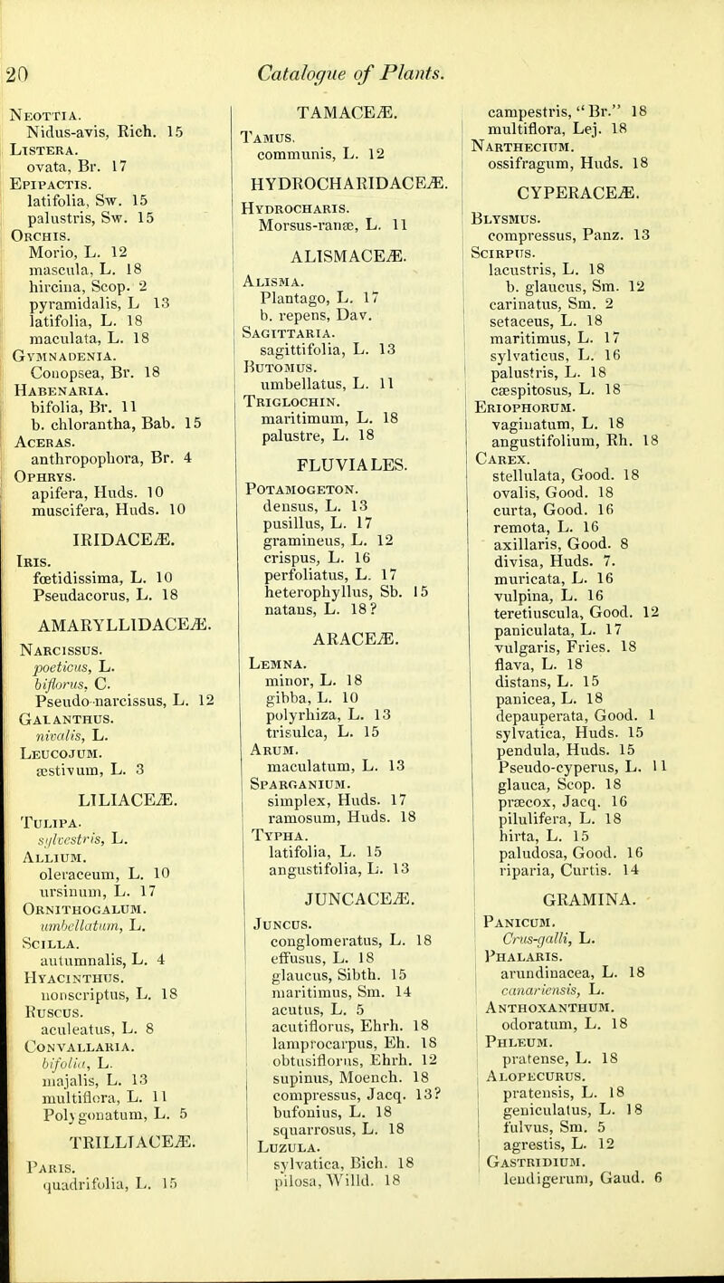 Neottia. Nidus-avis, Rich. 15 Ltstbea. ovata, Br. 17 Epipactis. latifolia, Sw. 15 palustris, Sw. 15 Orchis. Morio, L. 12 mascula, L. 18 hircina, Scop. 2 pyramidalis, L 13 latifolia, L. 18 maculata, L. 18 Gymnadenia. Couopsea, Br. 18 Habenaria. bifolia, Br. 11 b. chlorantha, Bab. 15 ACERAS. anthropopliora, Br. 4 Ophkys. apifera, Huds. 10 muscifera, Huds. 10 lEIDACEZE. Ieis. foetidissima, L. 10 Pseudacorus, L. 18 AMARYLLIDACE^. Narcissus. poeticus, L. biflorus, C. Pseudo narcissus, L. 12 Galanthus. nivalis, L. Leucojum. I sesti'vum, L. 3 LTLIACE^. TUI.IPA. fii/hrstris, L. Allium. oleraceum, L. 10 lU'siuuDi, L. 17 Ornithogalum. umbellatnm, L. SCILLA. autumnalis, L. 4 HYACINTHnS. uoiiscriptus, L. 18 Kuscus. aculeatus, L. 8 CONVALLAKIA. hifoli.l, L. uiajalis, L. 13 multiflora, L. 11 Polj gonatum, L. 5 TRILLIACEvE. Paris. quadrifulia, L. 15 TAMACEvE. Tamus, communis, L. 12 HYDROCHARIDACE^. Hydrocharis. Morsus-ranse, L, 11 ALISMACEiE. Alisma. Plantago, L. 17 b. repens, Dav. Sagittaria. sagittifolia, L. 13 BUTOMUS. umbellatus, L. 11 Triglochin. maritimum, L. 18 palustre, L. 18 FLU VI ALES. POTAMOGETON. densus, L. 13 pusillus, L. 17 gramineus, L. 12 crispus, L. 16 perfoliatus, L. 17 heterophyllus, Sb. 15 natans, L. 18 ? ARACEiE. Lemna. minor, L. 18 gibba, L. 10 polyrliiza, L. 13 trisulca, L. 15 Arum. maculatum, L. 13 Sparganium. simplex, Huds. 17 ramosum, Huds. 18 Typha. latifolia, L. 15 angustifolia, L. 13 JUNCACEiE. JUNCDS. conglomeratus, L. 18 effusus, L. 18 glaucus, Sibth. 15 maritimus, Sm. 14 acutus, L. 5 acutiflorus, Ehrh. 18 lampi'ocarpus, Eh. IS obtasifloriis, Ehrh. 12 supinus, Moench. 18 compressus, Jacq. 13? bufonius, L. 18 squarrosus, L. 18 Lhzula. sylvatica, Bich. 18 pilosa, Willd. 18 campestris,  Br. 18 multiflora, Lej. 18 Narthecium. ossifragum, Huds. 18 CYPERACEiE. Blysmus. compressus, Panz. 13 SCIRPUS. lacustris, L. 18 b. glaucus, Sm. 12 carinatus, Sm. 2 setaceus, L. 18 maritimus, L. 17 sylvaticus, L. 16 palustris, L. 18 ca;spitosus, L. 18 Eriophorum. vagiuatum, L. 18 angustifolium, Rh. 18 Carex. stellulata, Good. 18 ovalis. Good. 18 curta, Good. 16 remota, L. 16 axillaris. Good. 8 divisa, Huds. 7. muricata, L. 16 Yulpina, L. 16 teretiuscula. Good. 12 paniculata, L. 17 vulgaris, Fries. 18 flava, L. 18 distans, L. 15 panicea, L. 18 depauperata. Good. 1 sylvatica, Huds. 15 pendula, Huds. 15 Pseudo-cyperus, L. 11 glauca, Scop. 18 praecox, Jacq. 16 I pilulifera, L. 18 hirta, L. 15 paludosa, Good. 16 I riparia, Curtis. 14 GRAMINA. ■ Panicum. Crtis-gaUi, L. Phalaris. arundinacea, L. 18 canariensis, L. Anthoxanthum. odoratum, L. 18 Phlf.um. pratense, L. 18 Alopecurus. i pratensis, L. 18 geniculatus, L. 18 fulvus, Sm. 5 agrestis, L. 12 Gastkidiuji. leudigeruni, Gaud. 6