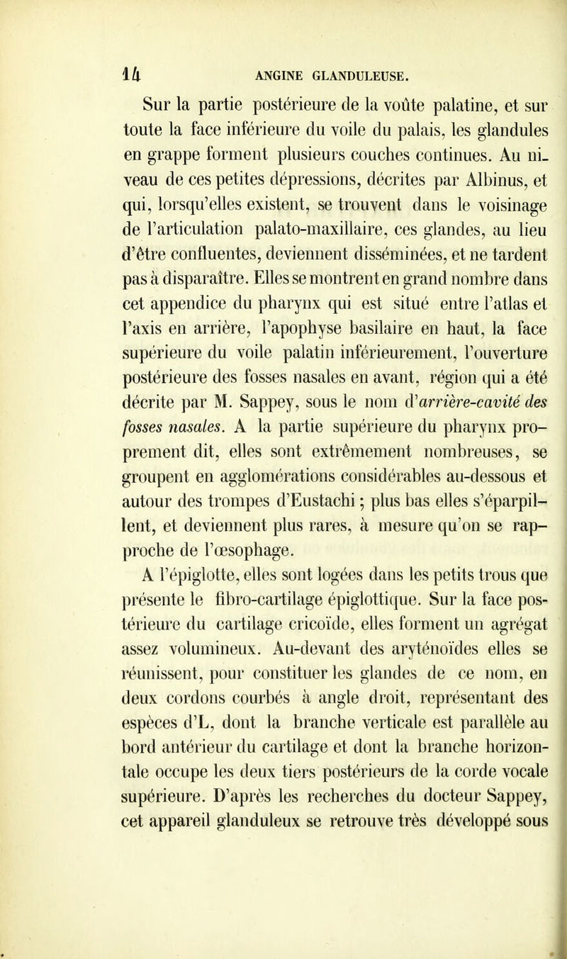 Sur la partie postérieure de la voûte palatine, et sur toute la face inférieure du voile du palais, les glandules en grappe forment plusieurs couches continues. Au ni- veau de ces petites dépressions, décrites par Albinus, et qui, lorsqu'elles existent, se trouvent dans le voisinage de l'articulation palato-maxillaire, ces glandes, au lieu d'être confluentes, deviennent disséminées, et ne tardent pas à disparaître. Elles se montrent en grand nombre dans cet appendice du pharynx qui est situé entre l'atlas et l'axis en arrière, l'apophyse basilaire en haut, la face supérieure du voile palatin inférieurement, l'ouverture postérieure des fosses nasales en avant, région qui a été décrite par M. Sappey, sous le nom d'arrière-cavité des fosses nasales. A la partie supérieure du pharynx pro- prement dit, elles sont extrêmement nombreuses, se groupent en agglomérations considérables au-dessous et autour des trompes d'Eustachi ; plus bas elles s'éparpil- lent, et deviennent plus rares, à mesure qu'on se rap- proche de l'œsophage. A l'épiglotte, elles sont logées dans les petits trous que présente le fibro-cartilage épiglottique. Sur la face pos- térieure du cartilage cricoïde, elles forment un agrégat assez volumineux. Au-devant des aryténoïdes elles se réunissent, pour constituer les glandes de ce nom, en deux cordons courbés à angle droit, représentant des espèces d'L, dont la branche verticale est parallèle au bord antérieur du cartilage et dont la branche horizon- tale occupe les deux tiers postérieurs de la corde vocale supérieure. D'après les recherches du docteur Sappey, cet appareil glanduleux se retrouve très développé sous