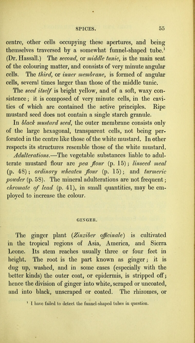 centre, other cells occupying these apertures, and being themselves traversed by a somewhat funnel-shaped tube/ (Dr. Hassall.) The second, or middle tunic, is the main seat of the colouring matter, and consists of very minute angular cells. The third, or inner membrane, is formed of angular cells, several times larger than those of the middle tunic. The seed itself is bright yellow, and of a soft, waxy con- sistence ; it is composed of very minute cells, in the cavi- ties of which are contained the active principles. Ripe mustard seed does not contain a single starch granule. In black mustard seed, the outer membrane consists only of the large hexagonal, transparent cells, not being per- forated in the centre like those of the white mustard. In other respects its structures resemble those of the white mustard. Adulterations.—The vegetable substances liable to adul- terate mustard flour are pea Jlour (p. 15); linseed meal (p. 48); ordinary wkeaten flour (p. 15); and turmeric powder (p. 58). The mineral adulterations are not frequent; chromate of lead (p. 41), in small quantities, may be em- ployed to increase the colour. GINGER. The ginger plant {Zinziber officinale) is cultivated in the tropical regions of Asia, America, and Sierra Leone. Its stem reaches usually three or four feet in height. The root is the part known as ginger; it is dug up, washed, and in some cases (especially with the better kinds) the outer coat, or epidermis, is stripped off; hence the division of ginger into white, scraped or uncoated, and into black, unscraped or coated. The rhizomes, or ^ I have failed to detect the funnel-shaped tubes in question.