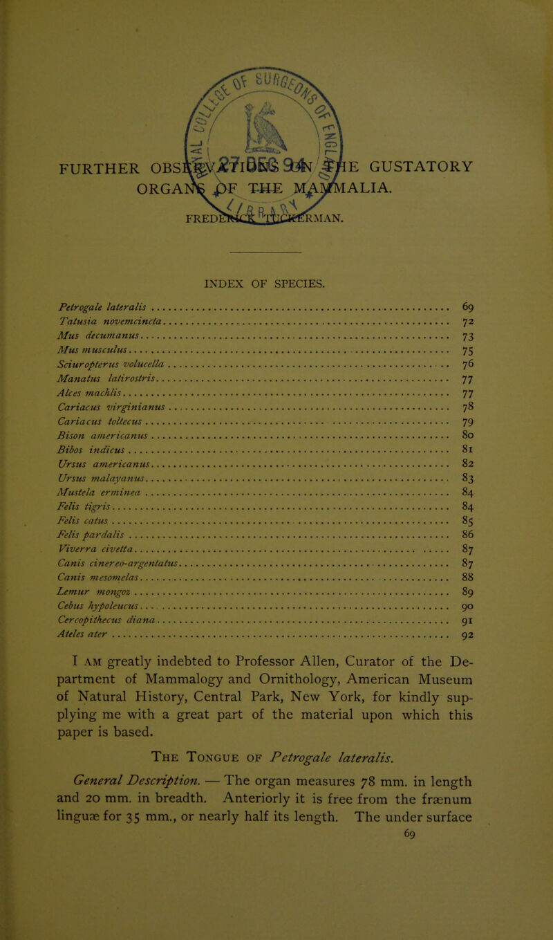 FURTHER OBS ORGA E GUSTATORY ALIA. RMAN. INDEX OF SPECIES. Petrogale lateralis 69 Tatusia novemcincta 72 Mus decumanus 73 Mus musculus 75 Sciuropterus volucella 76 Manatiis latirostris 77 Alces machlis 77 Cariacus virginianus 78 Cariacus toltecus 79 Bison americanus 80 Bibos indicus 81 Ursus americamis 82 Urstis malayanus 83 Mttsiela erminea 84 Felis tigris 84 Felis catus 85 Felis par da lis 86 Viverra civetta 87 Canis cinereo-argentatus 87 Canis mesomelas 88 Lemur mongoz 89 Cebus hypoleucus... 90 Cercopithecus diana 91 Ateles ater 92 I AM greatly indebted to Professor Allen, Curator of the De- partment of Mammalogy and Ornithology, American Museum of Natural History, Central Park, New York, for kindly sup- plying me with a great part of the material upon which this paper is based. The Tongue of Petrogale lateralis. General Description. — The organ measures 78 mm. in length and 20 mm. in breadth. Anteriorly it is free from the fraenum linguae for 35 mm., or nearly half its length. The under surface