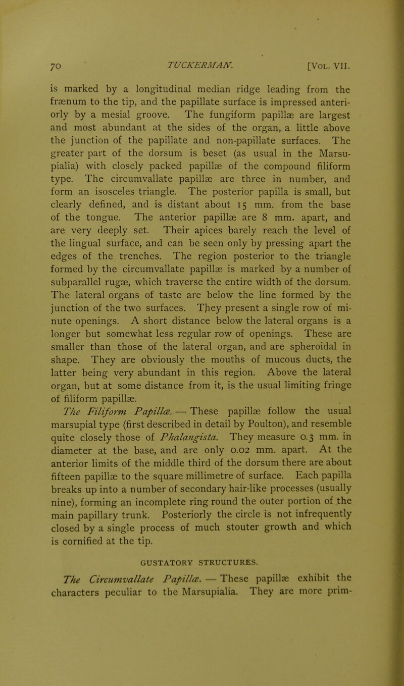 is marked by a longitudinal median ridge leading from the fraenum to the tip, and the papillate surface is impressed anteri- orly by a mesial groove. The fungiform papillae are largest and most abundant at the sides of the organ, a little above the junction of the papillate and non-papillate surfaces. The greater part of the dorsum is beset (as usual in the Marsu- pialia) with closely packed papillas of the compound filiform type. The circumvallate papillae are three in number, and form an isosceles triangle. The posterior papilla is small, but clearly defined, and is distant about 15 mm. from the base of the tongue. The anterior papillae are 8 mm. apart, and are very deeply set. Their apices barely reach the level of the lingual surface, and can be seen only by pressing apart the edges of the trenches. The region posterior to the triangle formed by the circumvallate papillae is marked by a number of subparallel rugae, which traverse the entire width of the dorsum. The lateral organs of taste are below the line formed by the junction of the two surfaces. T)iey present a single row of mi- nute openings. A short distance below the lateral organs is a longer but somewhat less regular row of openings. These are smaller than those of the lateral organ, and are spheroidal in shape. They are obviously the mouths of mucous ducts, the latter being very abundant in this region. Above the lateral organ, but at some distance from it, is the usual limiting fringe of filiform papillae. The Filiform PapillcB. — These papillas follow the usual marsupial type (first described in detail by Poulton), and resemble quite closely those of Phalaiigista. They measure 0.3 mm. in diameter at the base, and are only 0.02 mm. apart. At the anterior limits of the middle third of the dorsum there are about fifteen papillae to the square millimetre of surface. Each papilla breaks up into a number of secondary hair-like processes (usually nine), forming an incomplete ring round the outer portion of the main papillary trunk. Posteriorly the circle is not infrequently closed by a single process of much stouter growth and which is cornified at the tip. GUSTATORY STRUCTURES. The Circumvallate PapillcB. — These papillae exhibit the characters peculiar to the Marsupialia. They are more prim-