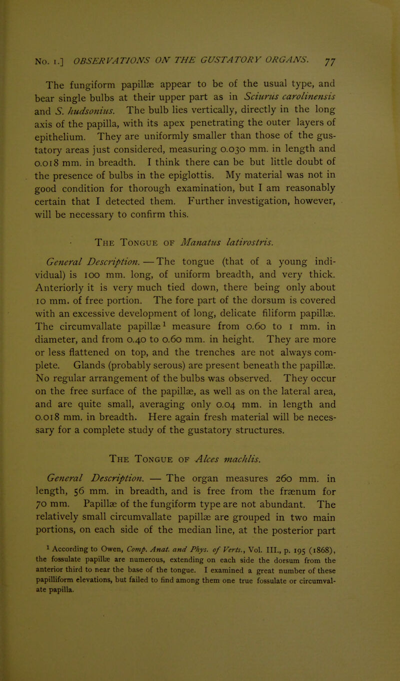 The fungiform papillae appear to be of the usual type, and bear single bulbs at their upper part as in Sciurus caroline?isis and 5. hudsonius. The bulb lies vertically, directly in the long axis of the papilla, with its apex penetrating the outer layers of epithelium. They are uniformly smaller than those of the gus- tatory areas just considered, measuring 0.030 mm. in length and 0.018 mm. in breadth. I think there can be but little doubt of the presence of bulbs in the epiglottis. My material was not in good condition for thorough examination, but I am reasonably certain that I detected them. Further investigation, however, will be necessary to confirm this. The Tongue of Manatiis latirostris. General Description. — The tongue (that of a young indi- vidual) is 100 mm. long, of uniform breadth, and very thick. Anteriorly it is very much tied down, there being only about 10 mm. of free portion. The fore part of the dorsum is covered with an excessive development of long, delicate filiform papillae. The circumvallate papillae^ measure from 0.60 to i mm. in diameter, and from 0.40 to 0.60 mm. in height. They are more or less flattened on top, and the trenches are not always com- plete. Glands (probably serous) are present beneath the papillae. No regular arrangement of the bulbs was observed. They occur on the free surface of the papillae, as well as on the lateral area, and are quite small, averaging only 0.04 mm. in length and 0.018 mm. in breadth. Here again fresh material will be neces- sary for a complete study of the gustatory structures. The Tongue of Aloes machlis. General Description. — The organ measures 260 mm. in length, 56 mm. in breadth, and is free from the fraenum for 70 mm. Papillae of the fungiform type are not abundant. The relatively small circumvallate papillae are grouped in two main portions, on each side of the median line, at the posterior part 1 According to Owen, Comp. Ana/, and Phys. of Verts., Vol. III., p. 195 (1868), the fossulate papillae are numerous, extending on each side the dorsum from the anterior third to near the base of the tongue. I examined a great number of these papilliform elevations, but failed to find among them one true fossulate or circumval- ate papilla.