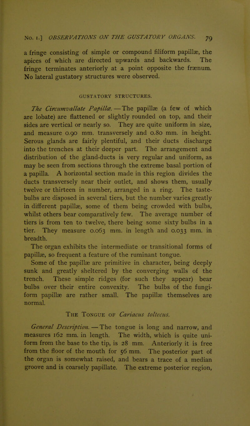 a fringe consisting of simple or compound filiform papillae, the apices of which are directed upwards and backwards. The fringe terminates anteriorly at a point opposite the fraenum. No lateral gustatory structures were observed. GUSTATORY STRUCTURES. The Circumvallate PapillcB. —The papillae (a few of which are lobate) are flattened or slightly rounded on top, and their sides are vertical or nearly so. They are quite uniform in size, and measure 0.90 mm. transversely and 0.80 mm. in height. Serous glands are fairly plentiful, and their ducts discharge into the trenches at their deeper part. The arrangement and distribution of the gland-ducts is very regular and uniform, as may be seen from sections through the extreme basal portion of a papilla. A horizontal section made in this region divides the ducts transversely near their outlet, and shows them, usually twelve or thirteen in number, arranged in a ring. The taste- bulbs are disposed in several tiers, but the number varies greatly in different papillae, some of them being crowded with bulbs, whilst others bear comparatively few. The average number of tiers is from ten to twelve, there being some sixty bulbs in a tier. They measure 0.063 ^n^- length and 0.033 ^i- breadth. The organ exhibits the intermediate or transitional forms of papillae, so frequent a feature of the ruminant tongue. Some of the papillae are primitive in character, being deeply sunk and greatly sheltered by the converging walls of the trench. These simple ridges (for such they appear) bear bulbs over their entire convexity. The bulbs of the fungi- form papillae are rather small. The papillae themselves are normal. The Tongue of Cariacus tolteciis. General Description. — The tongue is long and narrow, and measures 162 mm. in length. The width, which is quite uni- form from the base to the tip, is 28 mm. Anteriorly it is free from the floor of the mouth for 56 mm. The posterior part of the organ is somewhat raised, and bears a trace of a median groove and is coarsely papillate. The extreme posterior region,